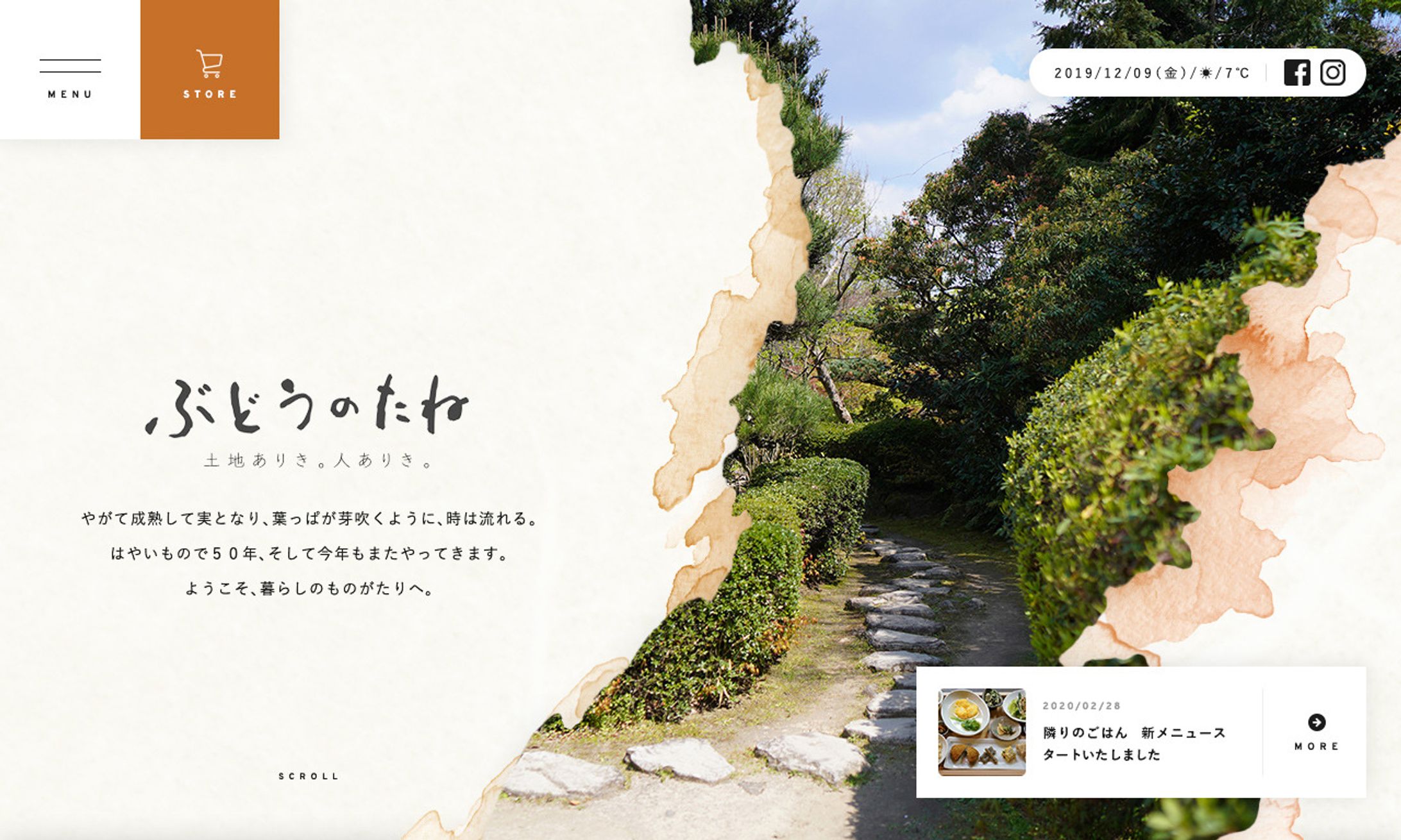 ぶどうのたね – 土地ありき 人ありき-1