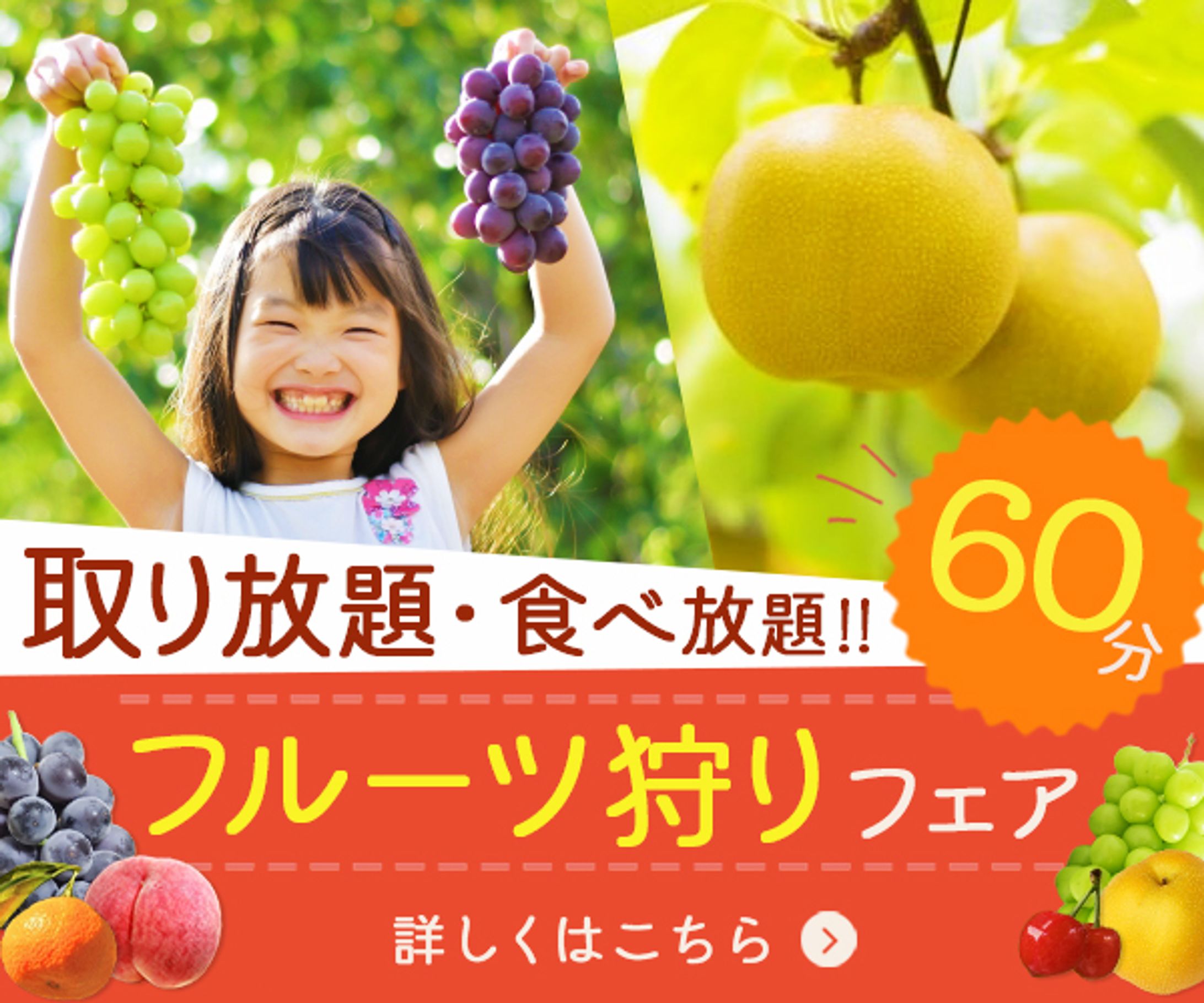 フルーツ狩り / バナー-1