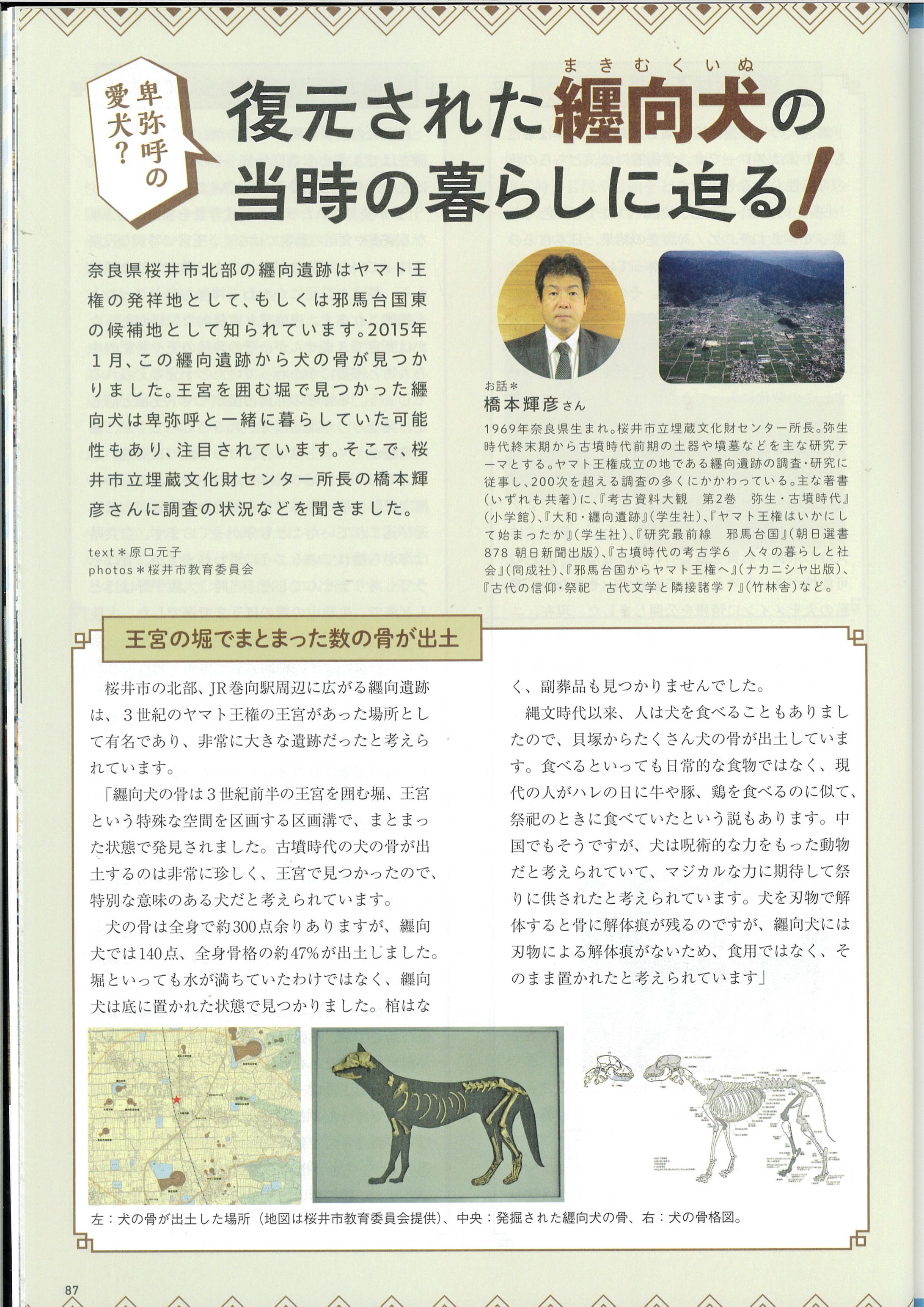 卑弥呼と暮らしていた？「纒向犬」とは-1