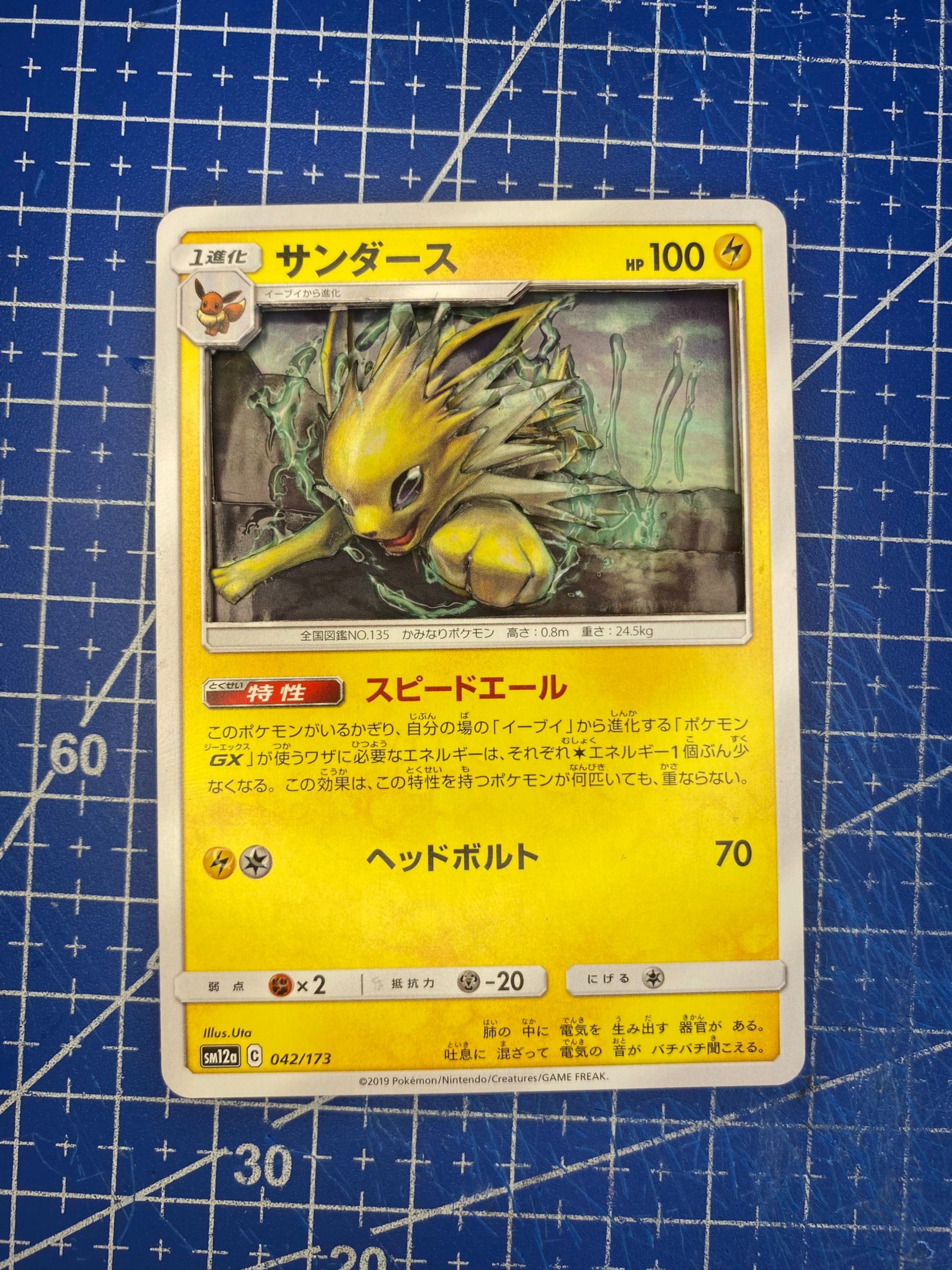 サンダース-1