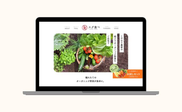 自主制作、オウン