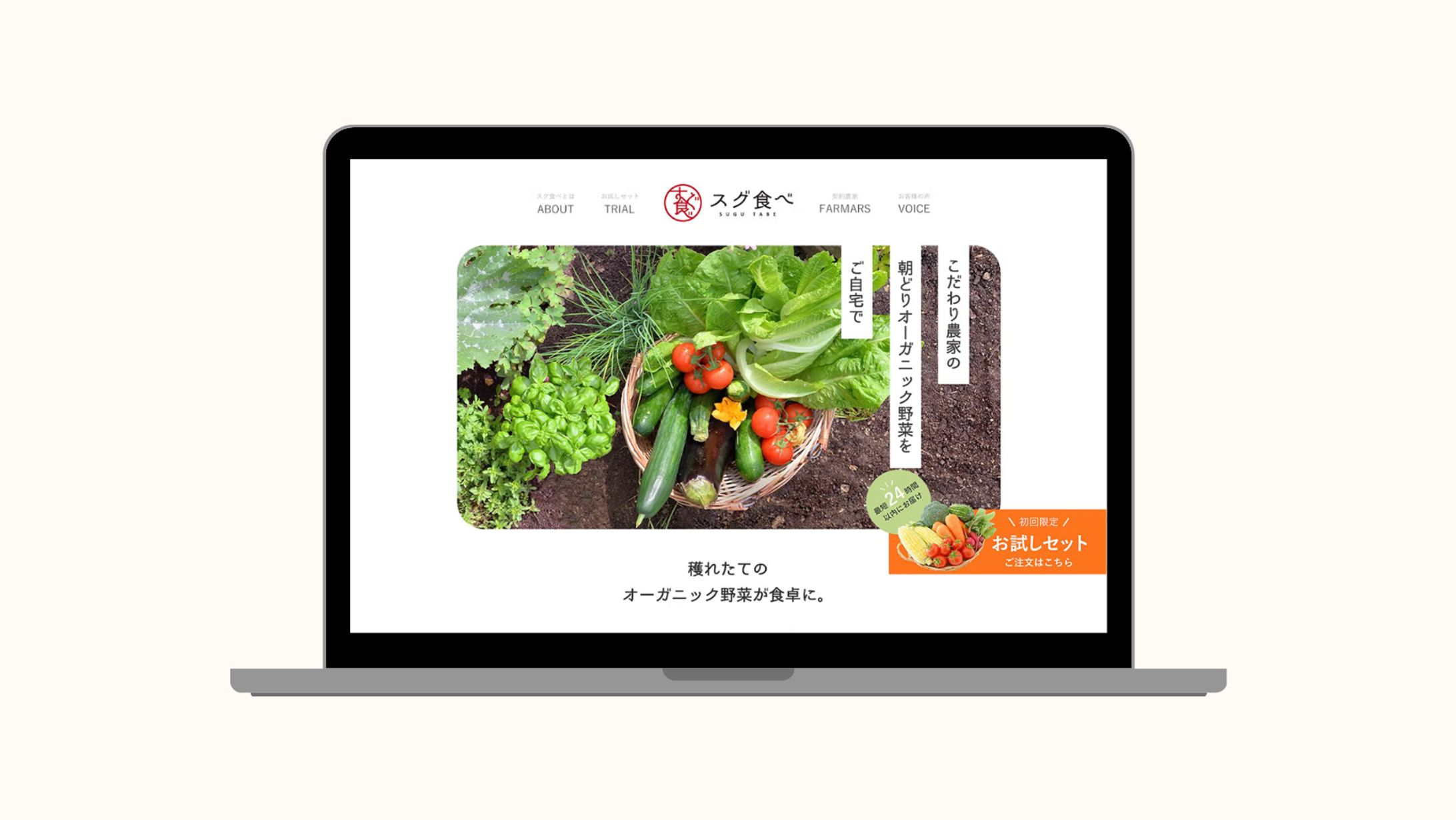 【自主制作】スグ食べ　LP-1