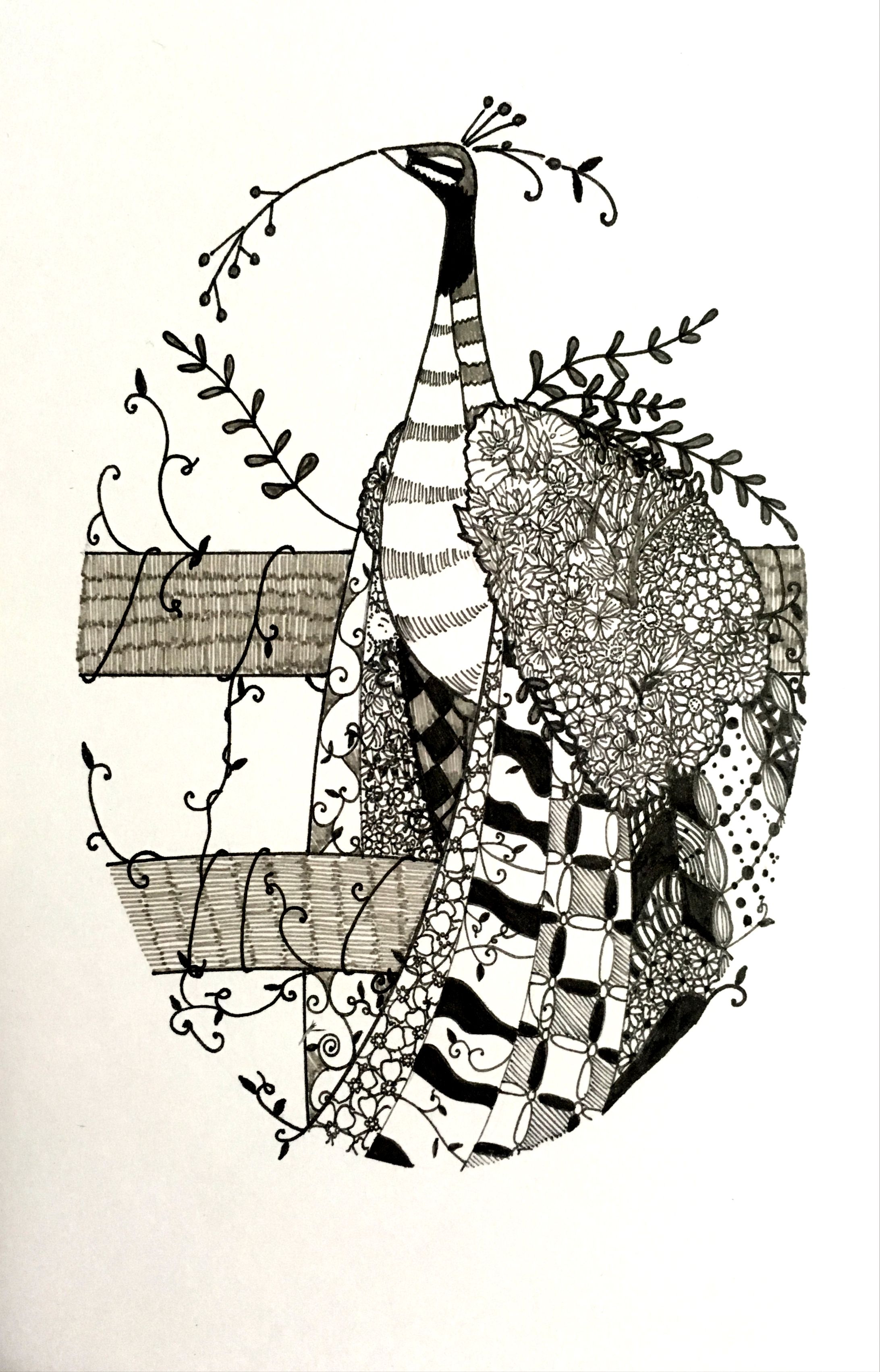 絵　「bird」-1