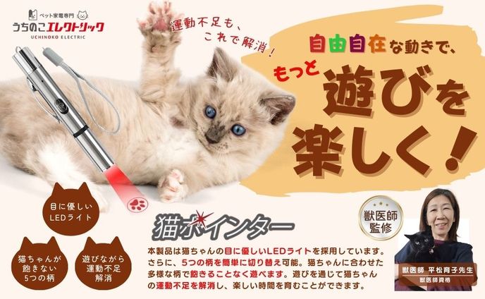【LP（FV）】猫ポインター