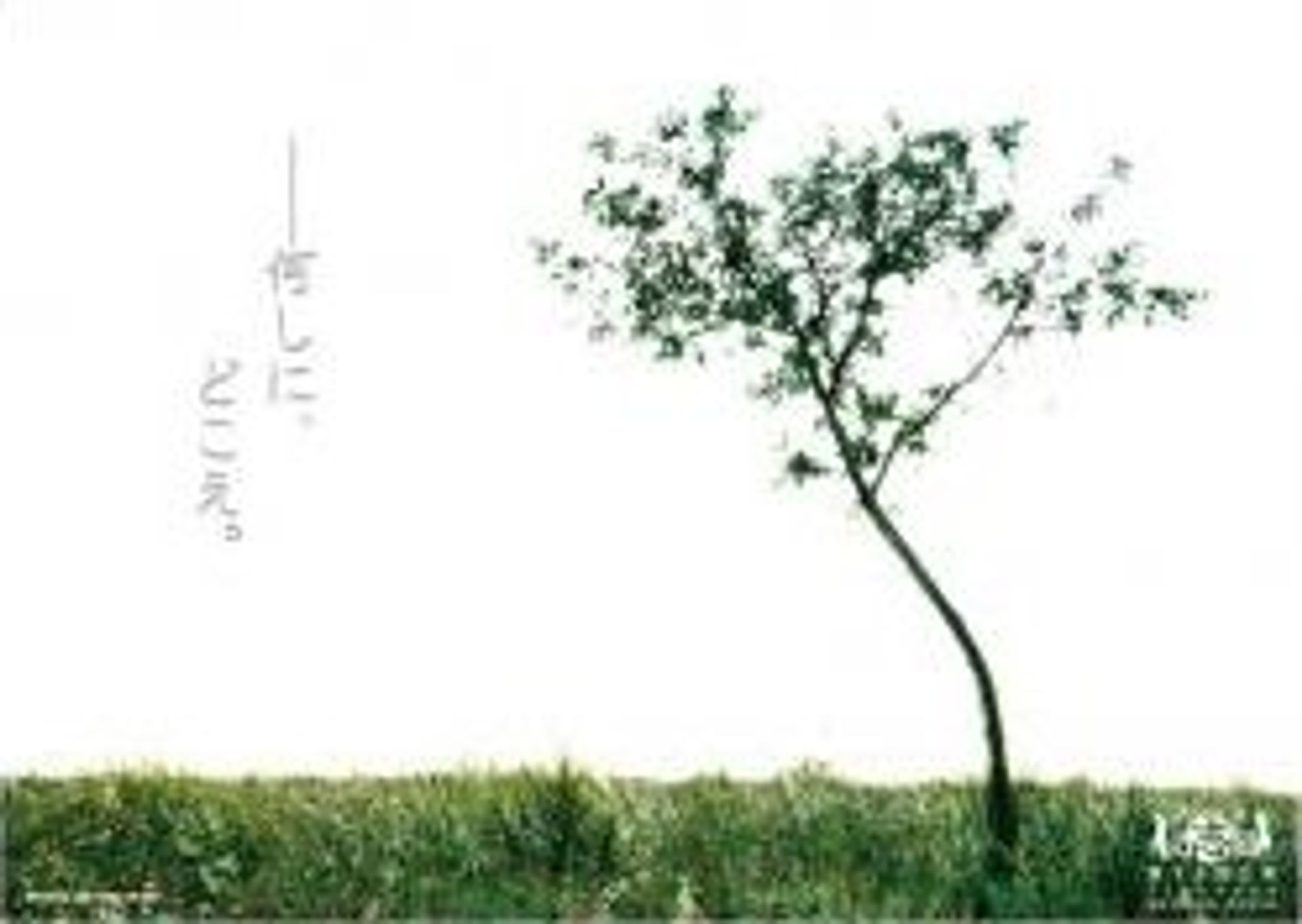 創作集団必志組第15回公演『Tiny Seed -ひかりのつぶと、かげのつぶ-』-1