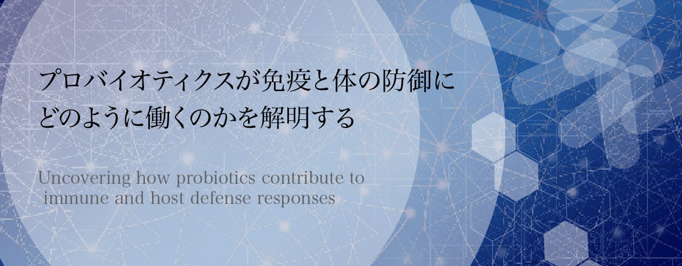 架空研究室WEBサイトデザイン-1