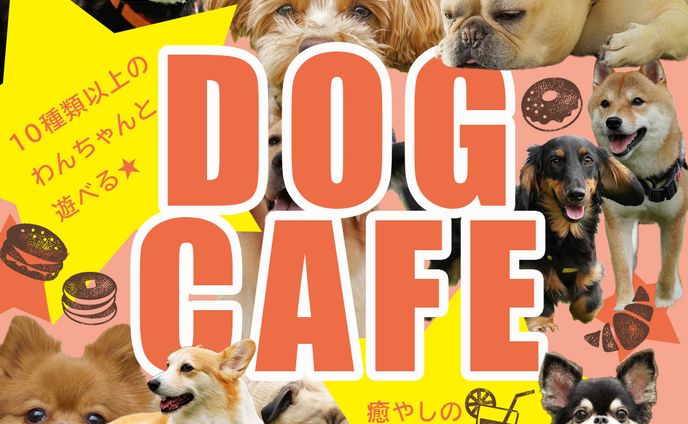 ドッグカフェ（架空・20251015作成）