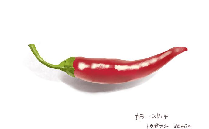 #唐辛子🌶 #sketch #dailysketch #スケッチ #色模写  ピリ辛