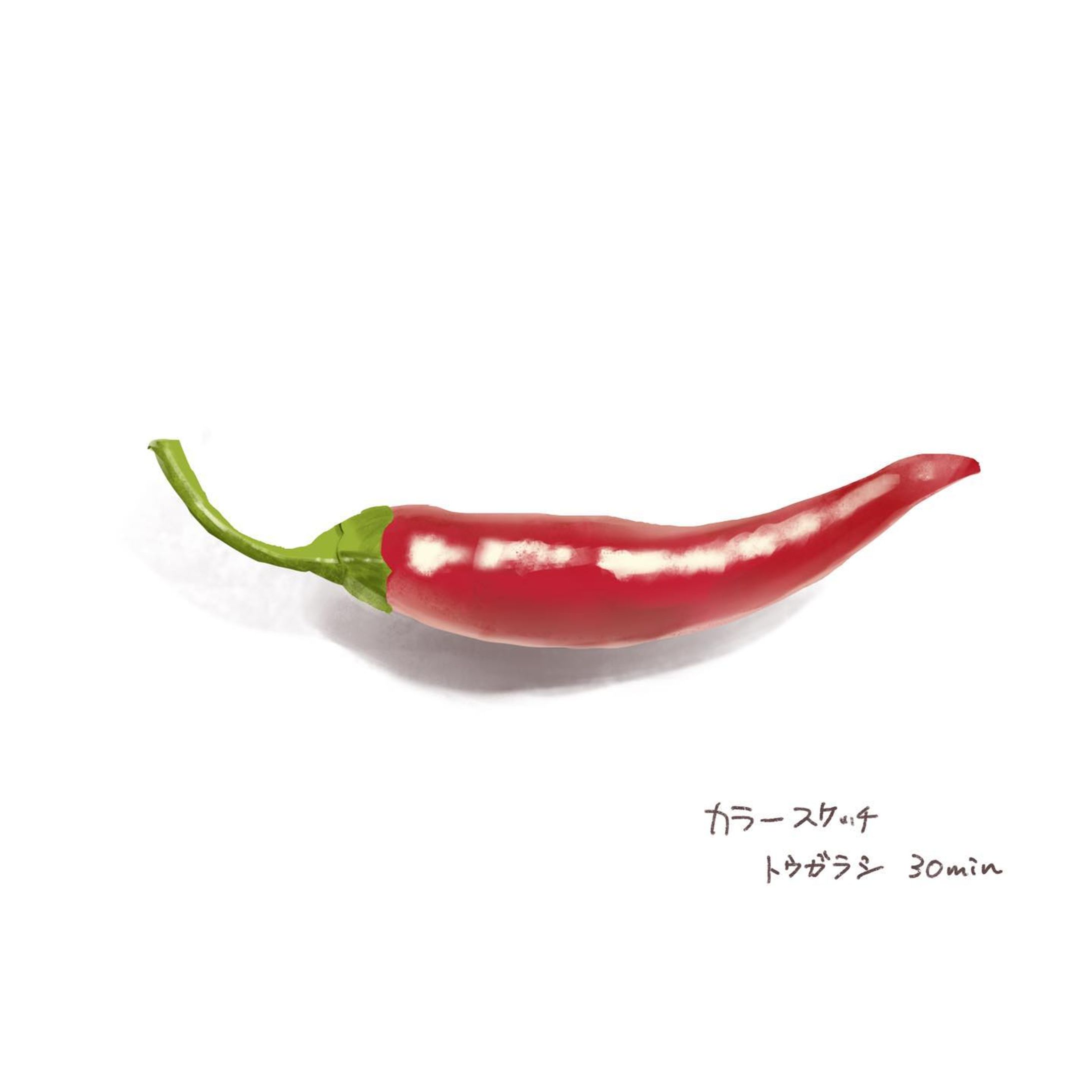 #唐辛子🌶 #sketch #dailysketch #スケッチ #色模写  ピリ辛-1