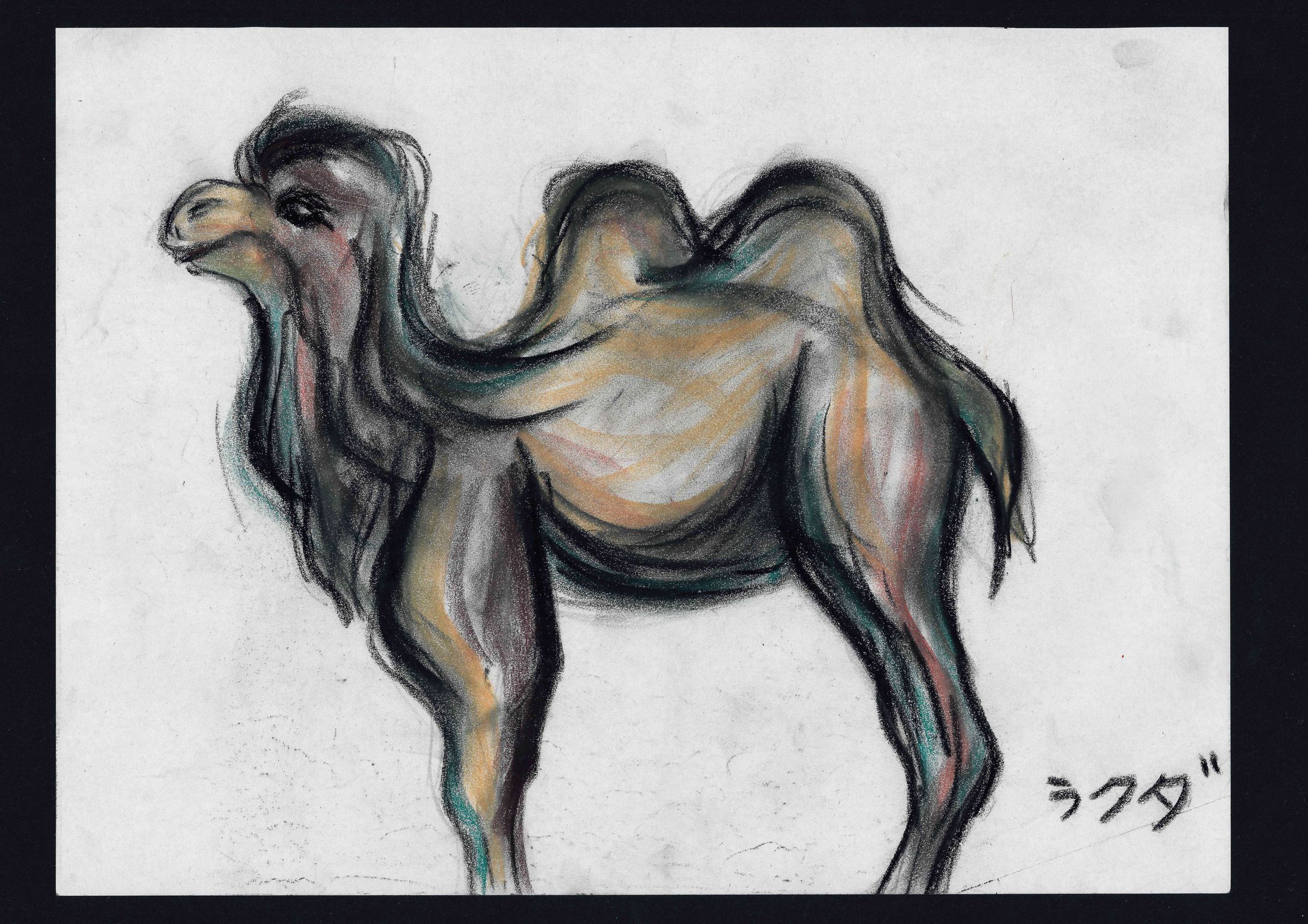 動物園でのスケッチ-1