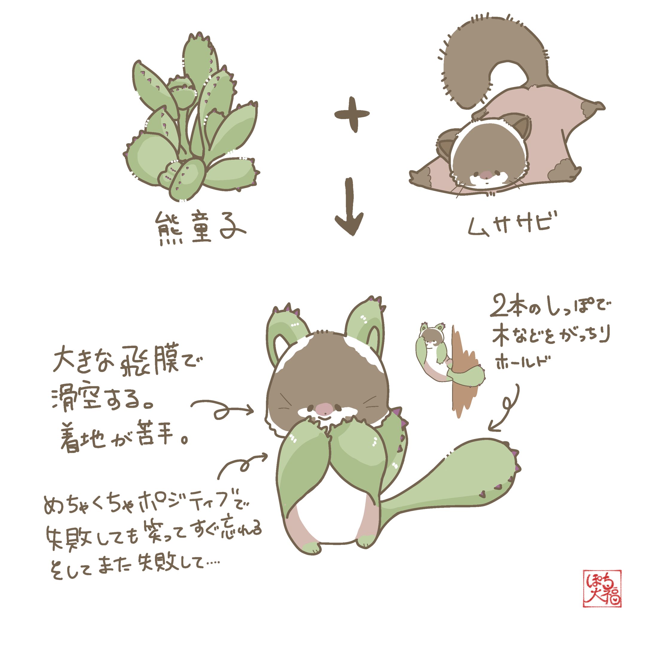 熊童子×ムササビ 熊童子×ムササビ