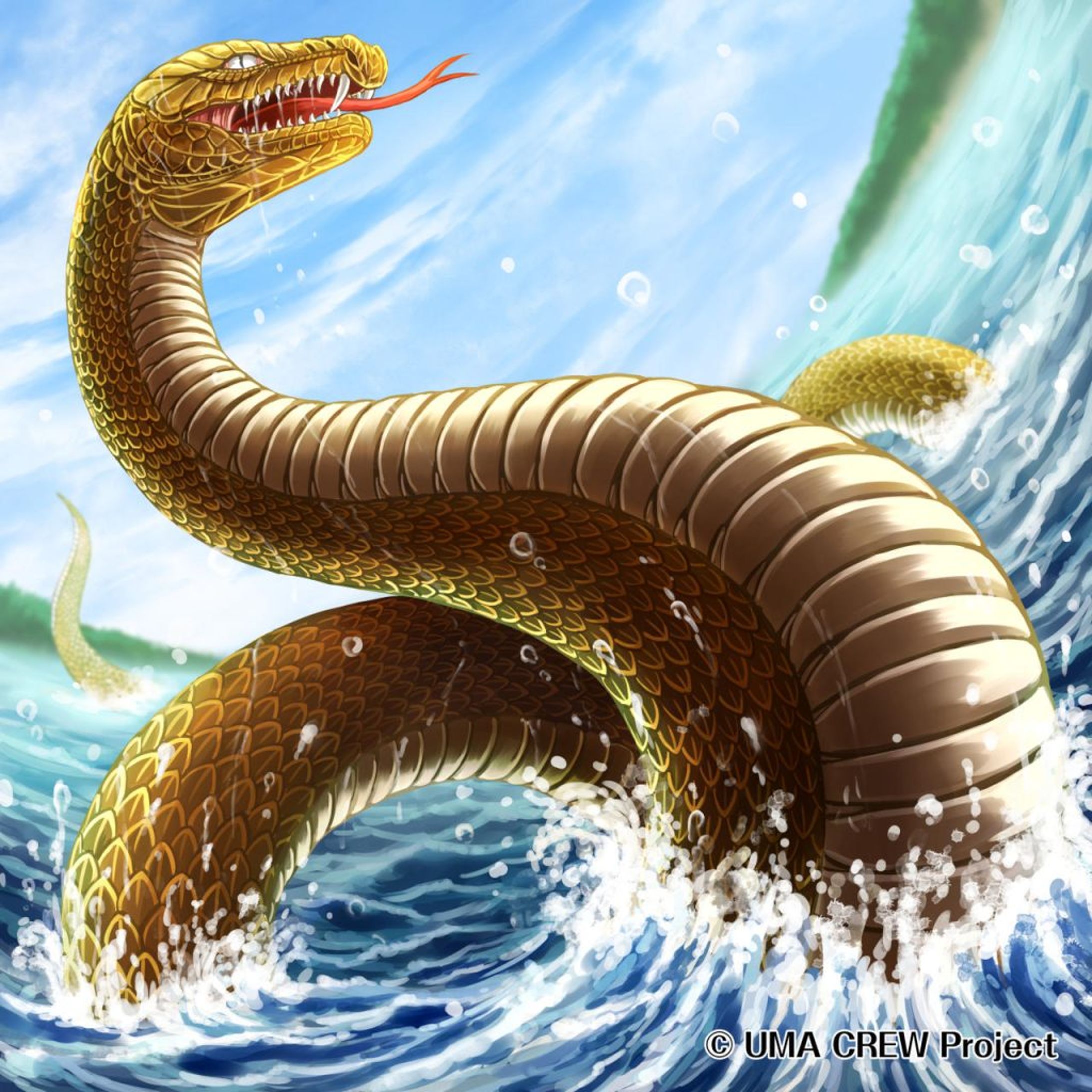 UMA「ナブー」イラスト（業務委託）-1