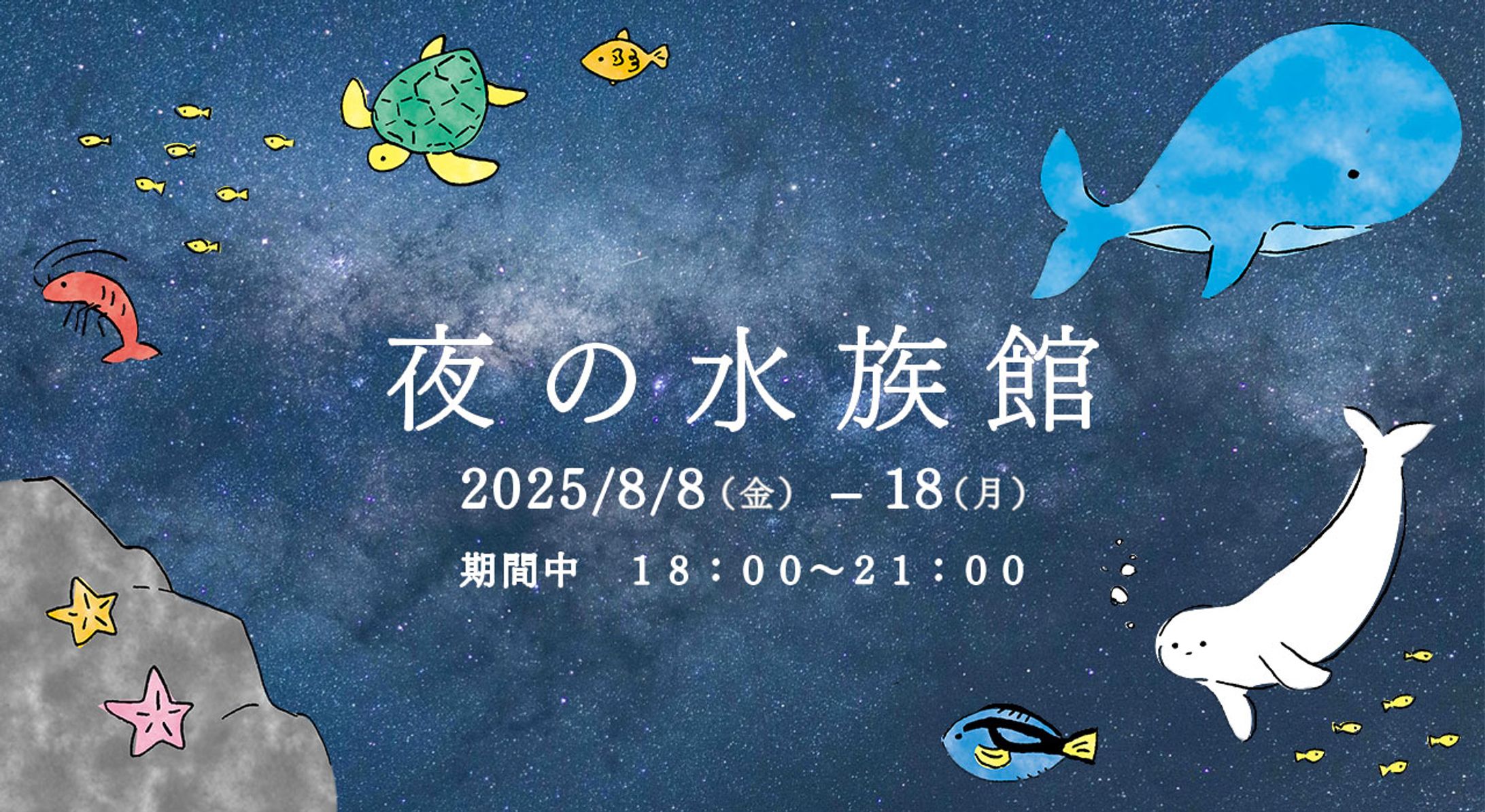 夜の水族館-1