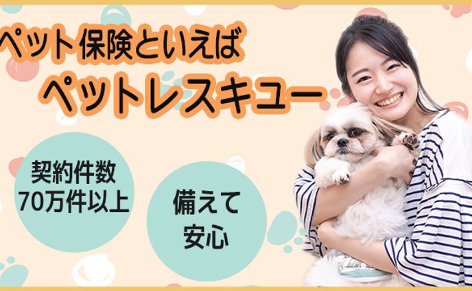 バナー想定案件（自作）