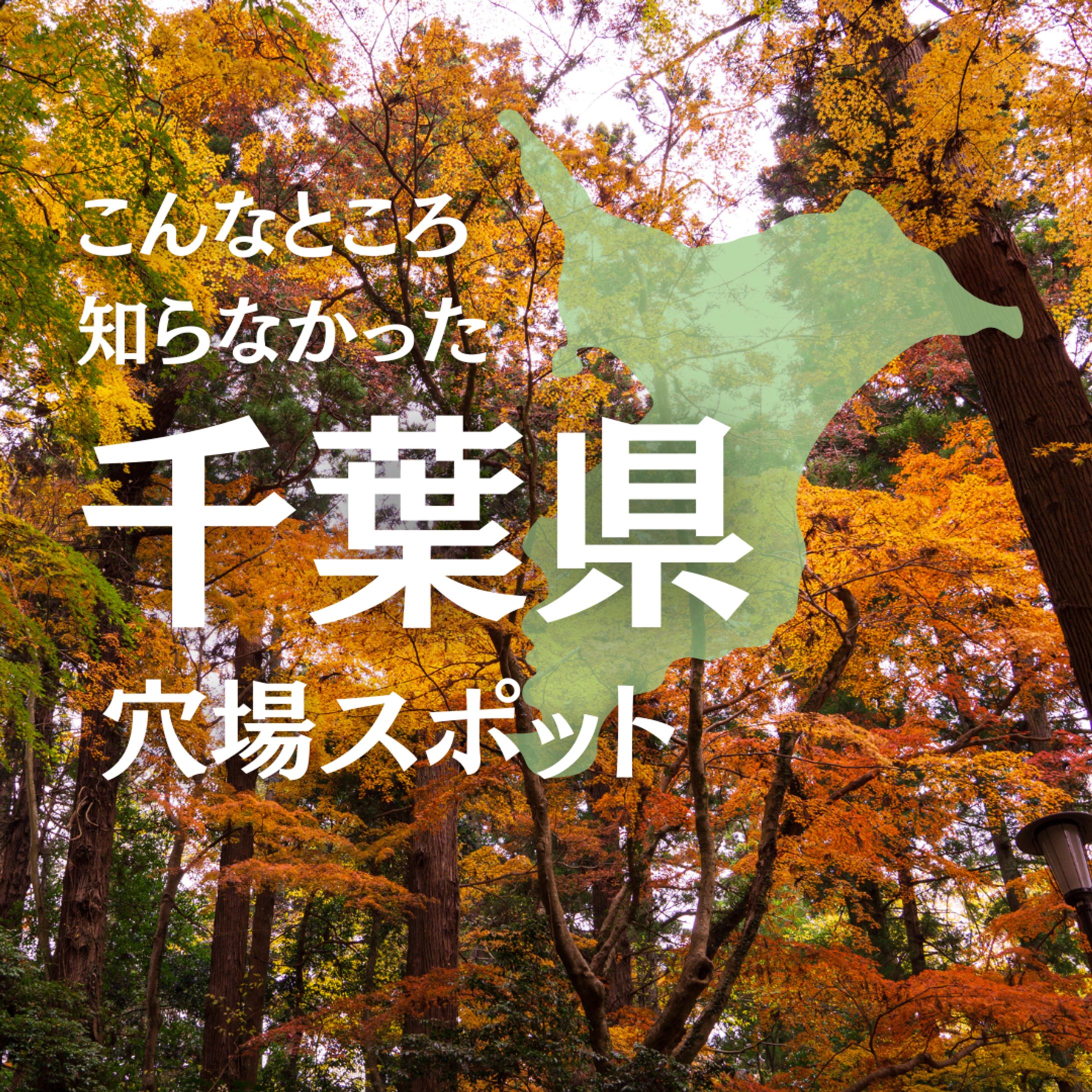 Instagram運用画像資料1-1