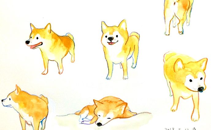 柴犬シリーズ