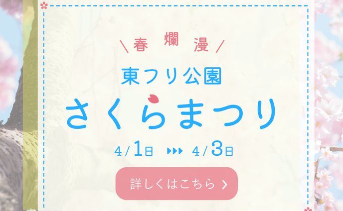 バナー　桜まつり