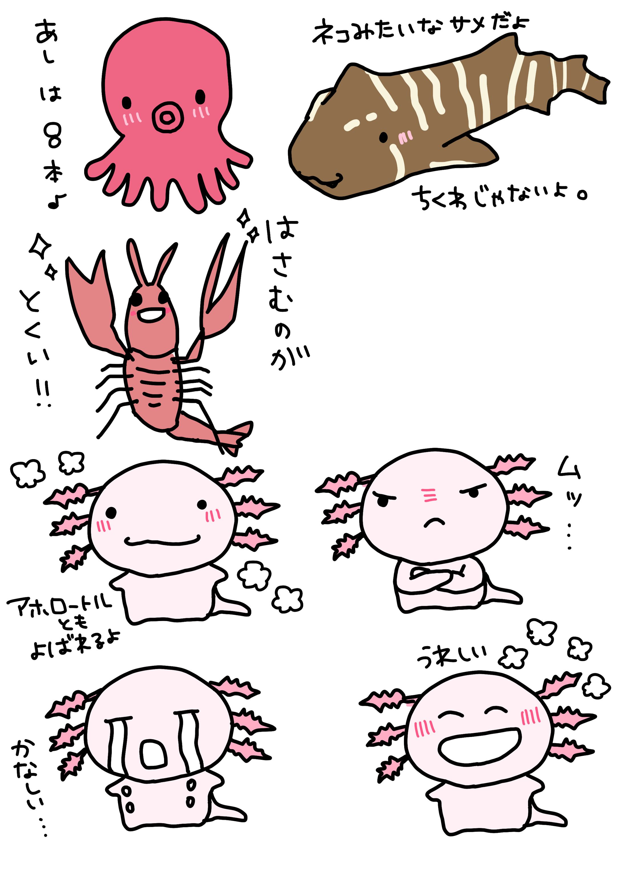 ゆるかわいい生き物-1