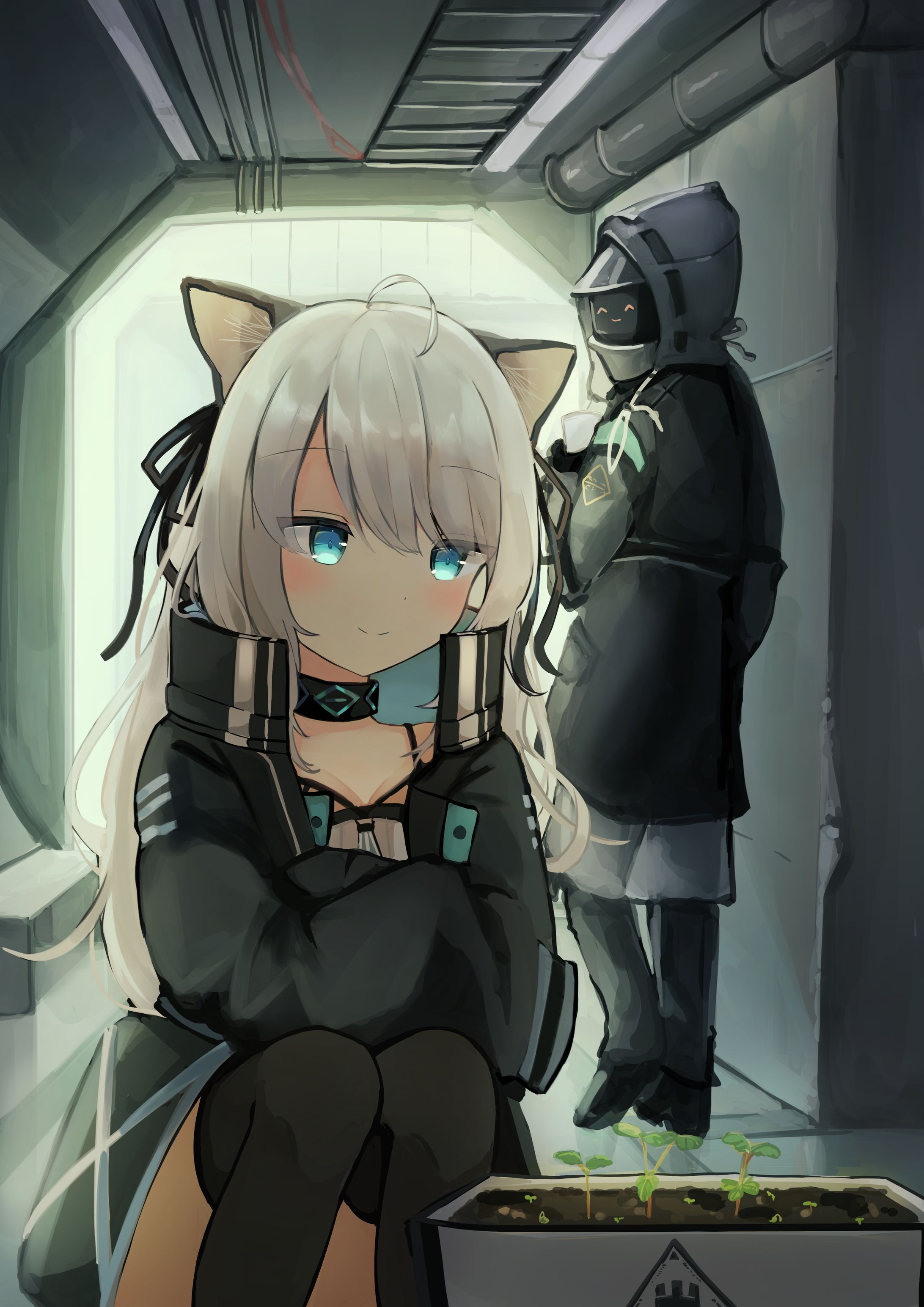 ミント-1