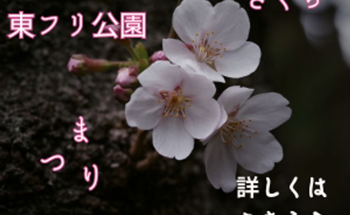 写真、ドローン