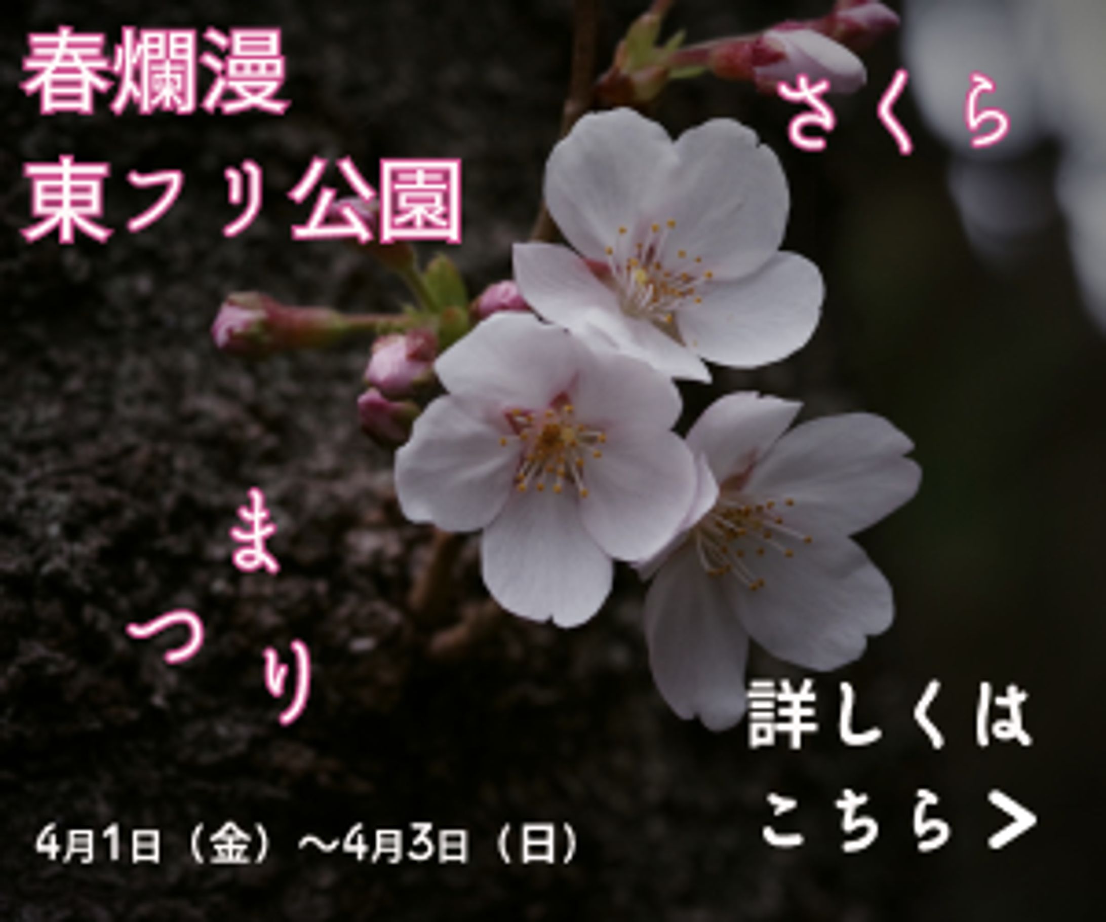 桜バナー-1