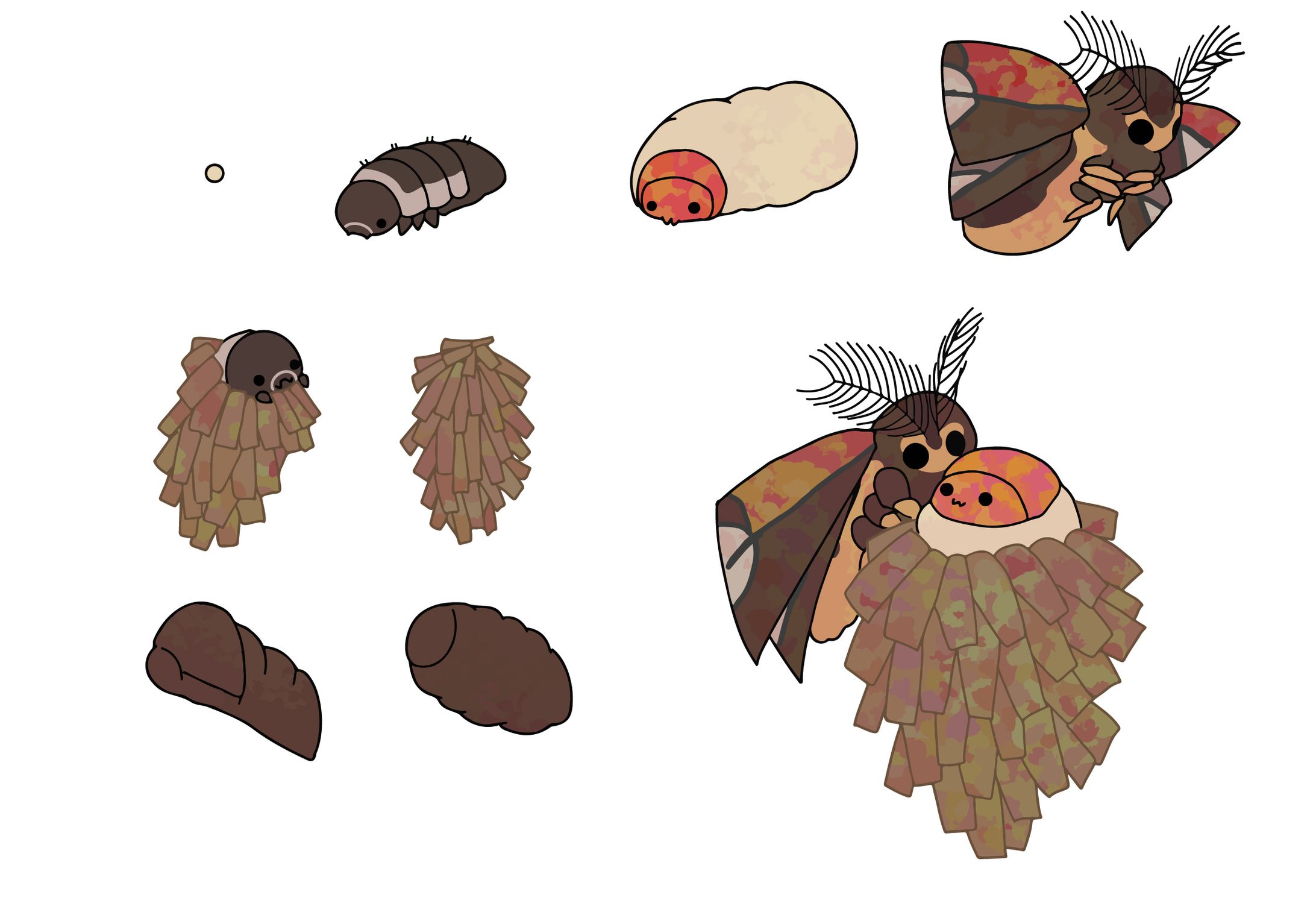 オオミノガ-1