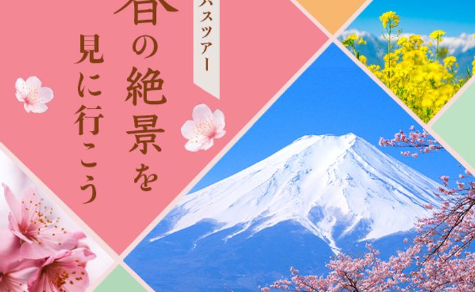 バナー：バスツアー