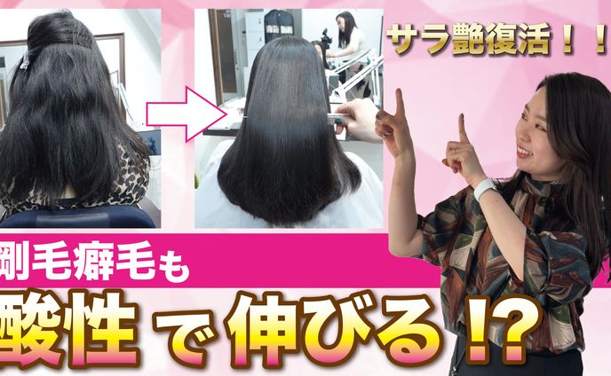 ych chimol、専門家