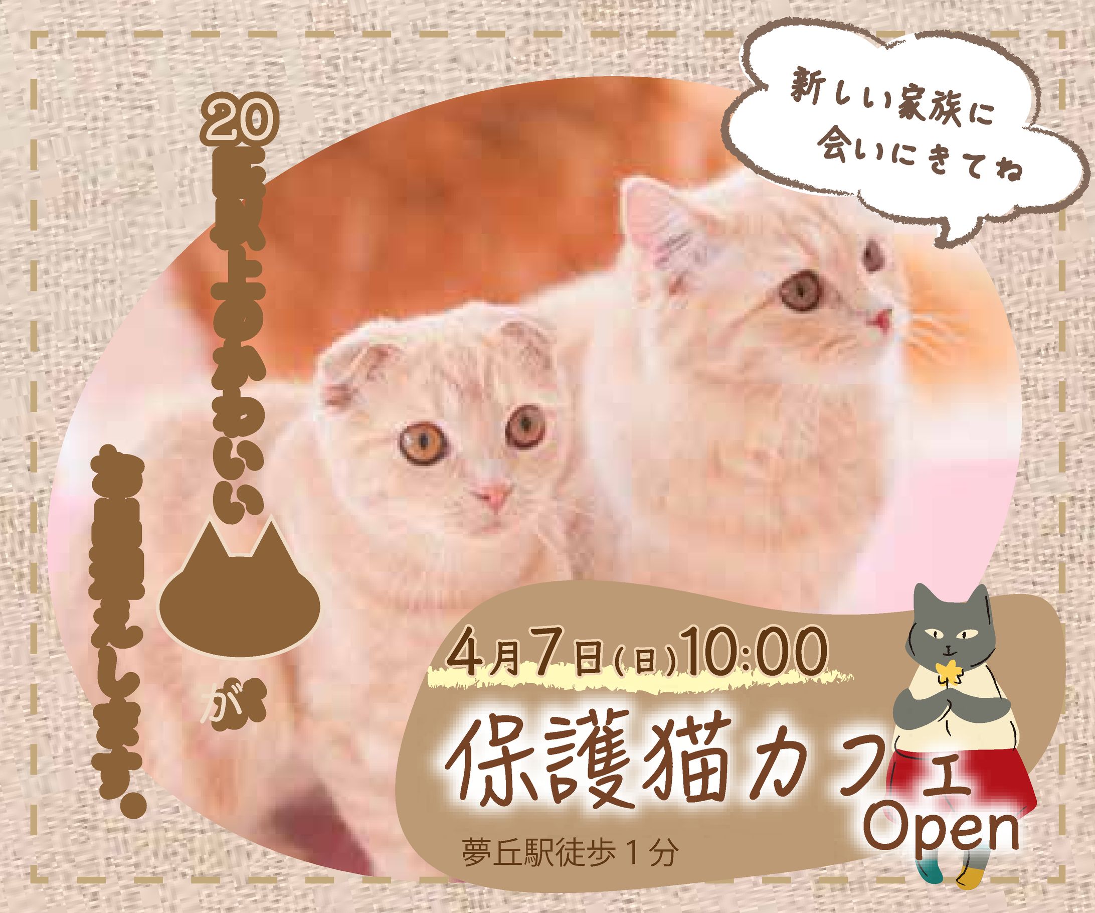 保護猫カフェ-1