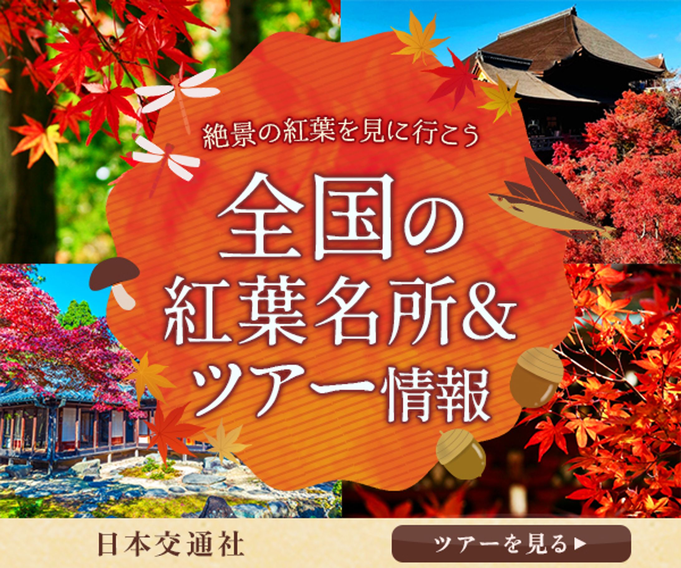 バナー：紅葉特集-1