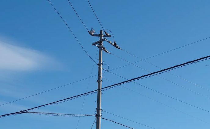青空と電柱の写真