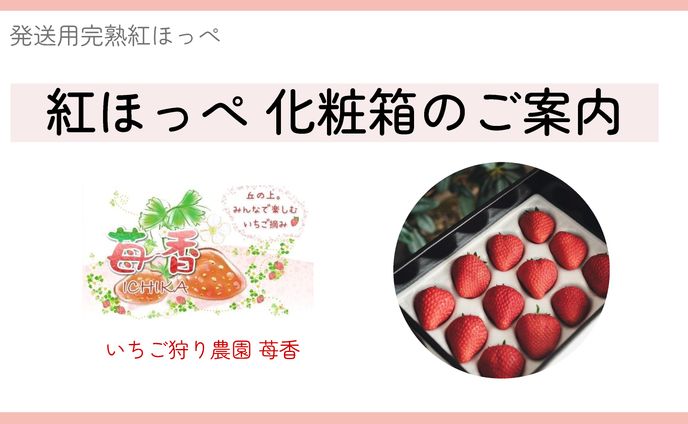 いちご農家ゆう様 ECサイト用商品説明資料.pptx 