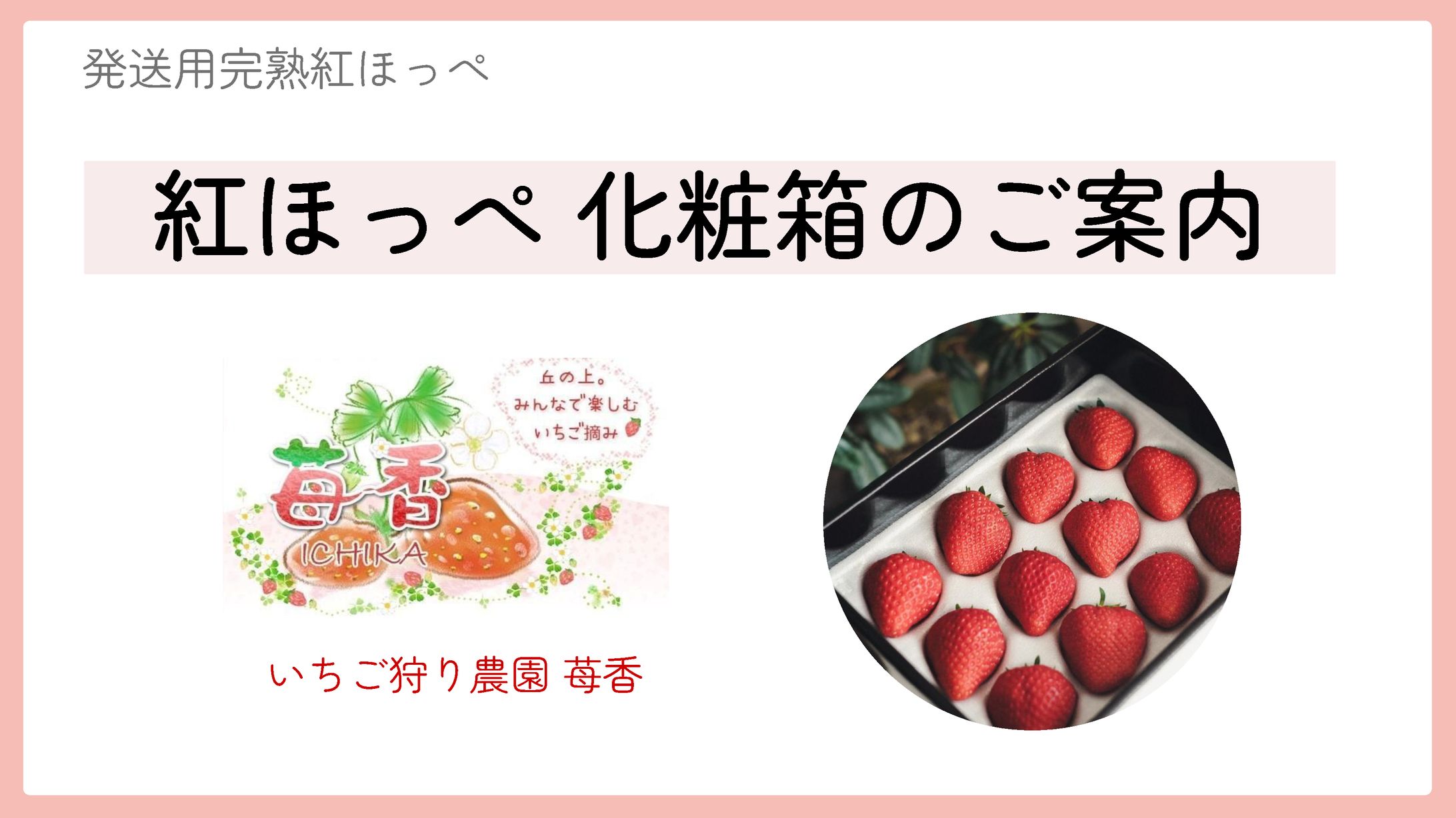 いちご農家ゆう様 ECサイト用商品説明資料.pptx -1