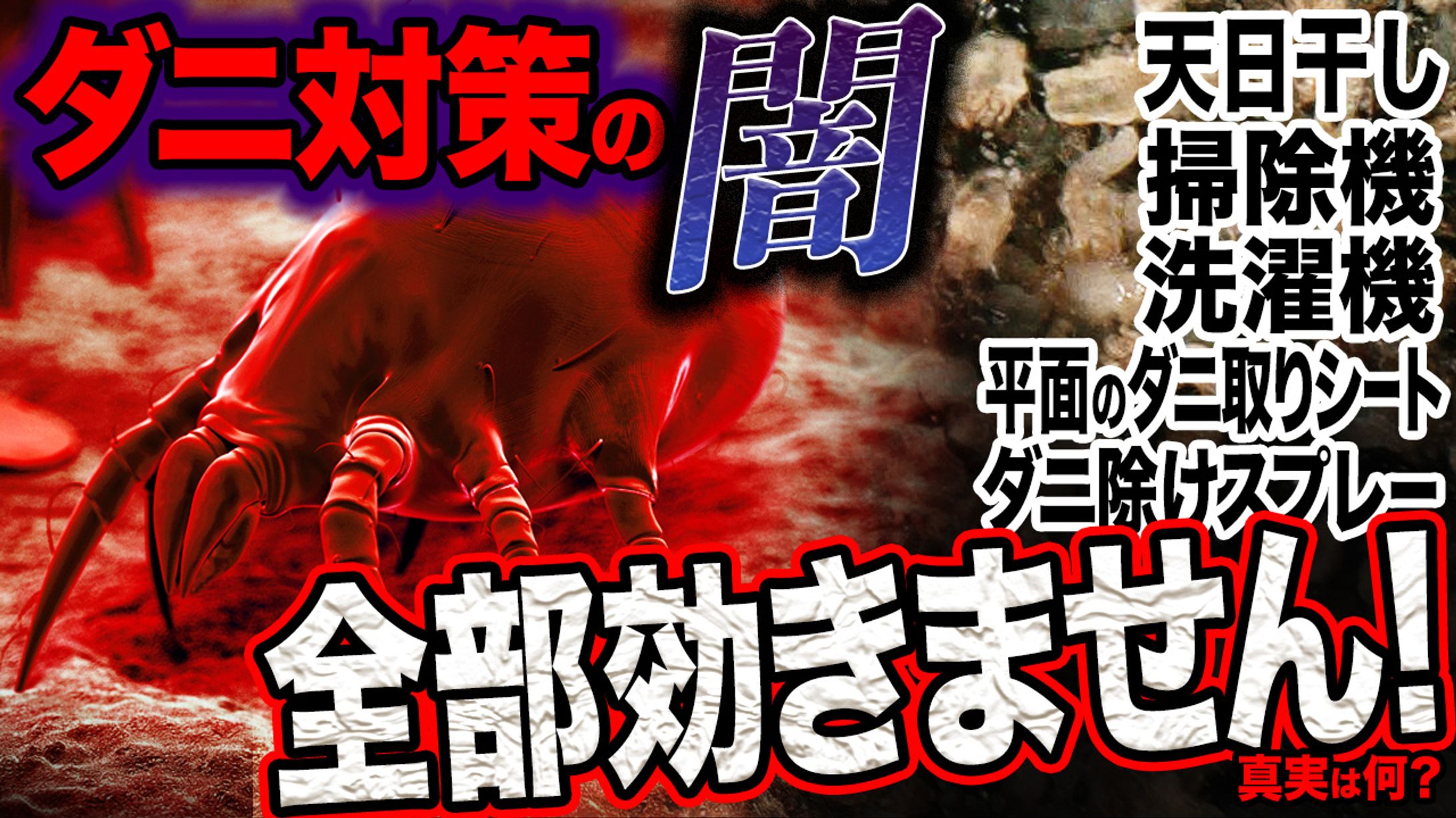 YouTubeサムネイル_ダニ対策啓蒙動画-1