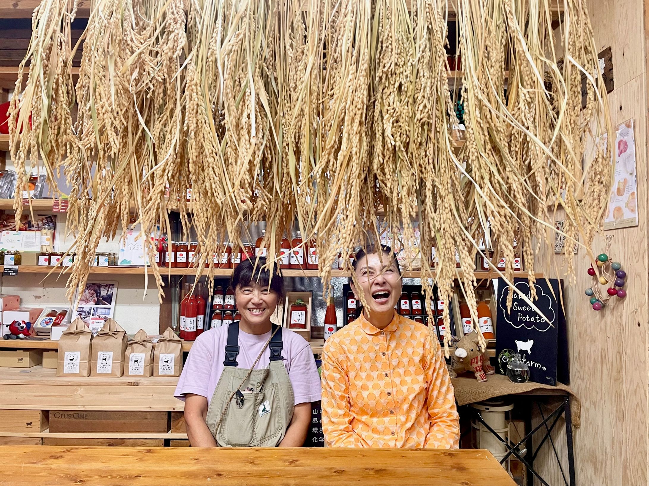 女性起業家‘お仕事展’出店のためのディスプレイ-1