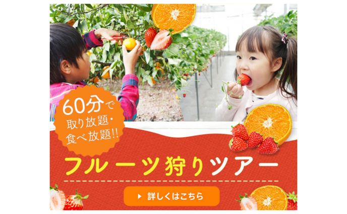 イラスト　デザイン、2024