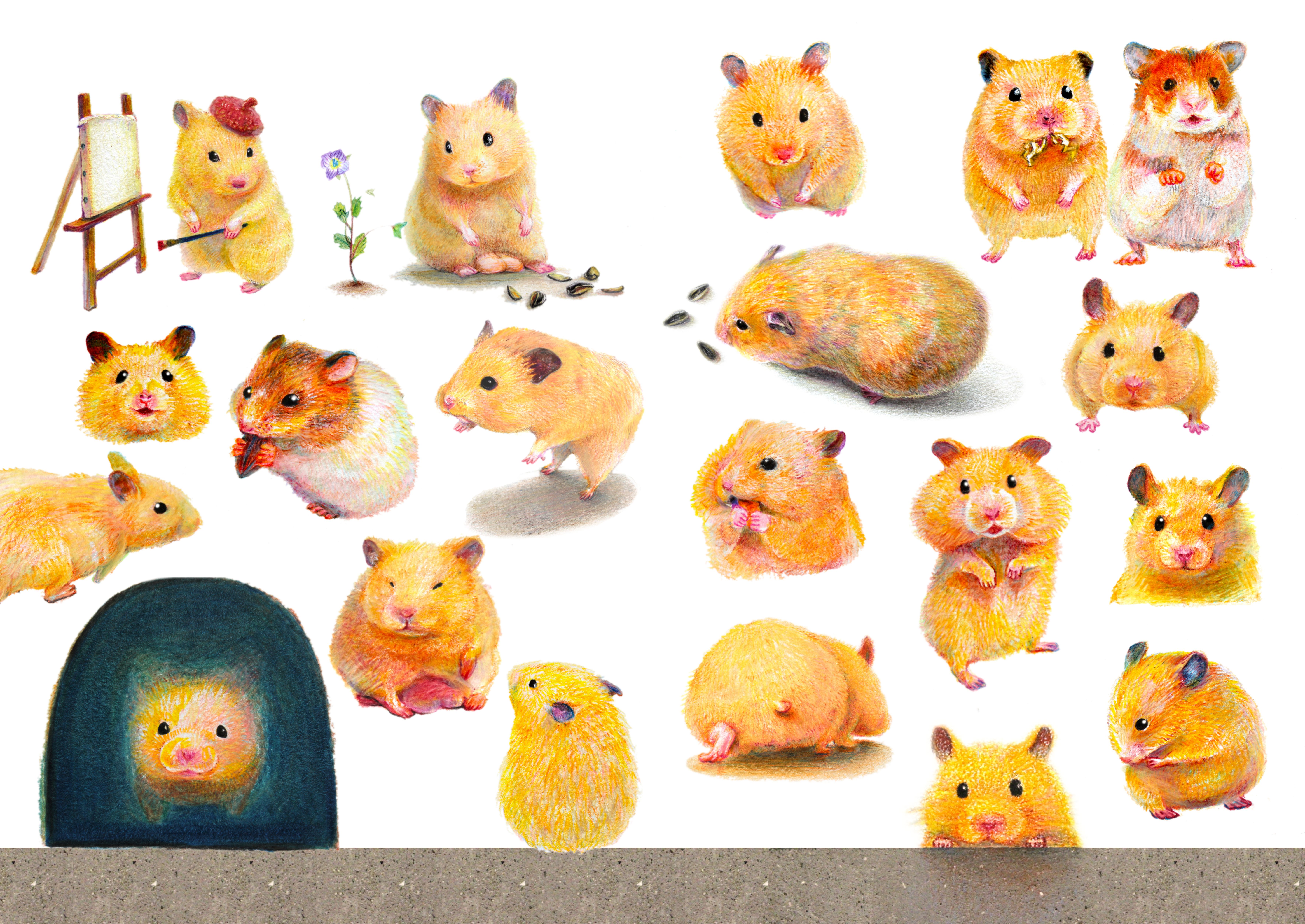 キンクマハムスターのおもちがいっぱい！｜色鉛筆イラスト