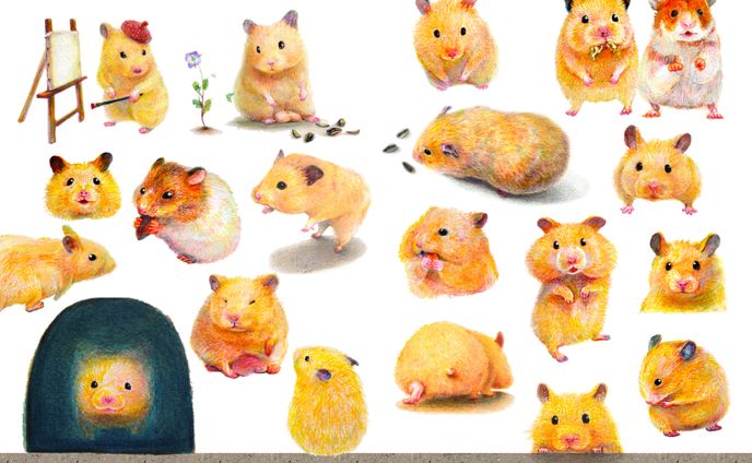 キンクマハムスターのおもちがいっぱい！｜色鉛筆イラスト