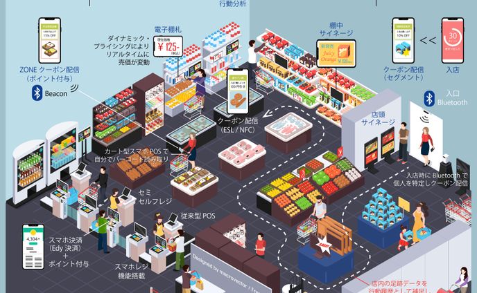 動画編集、ベクター