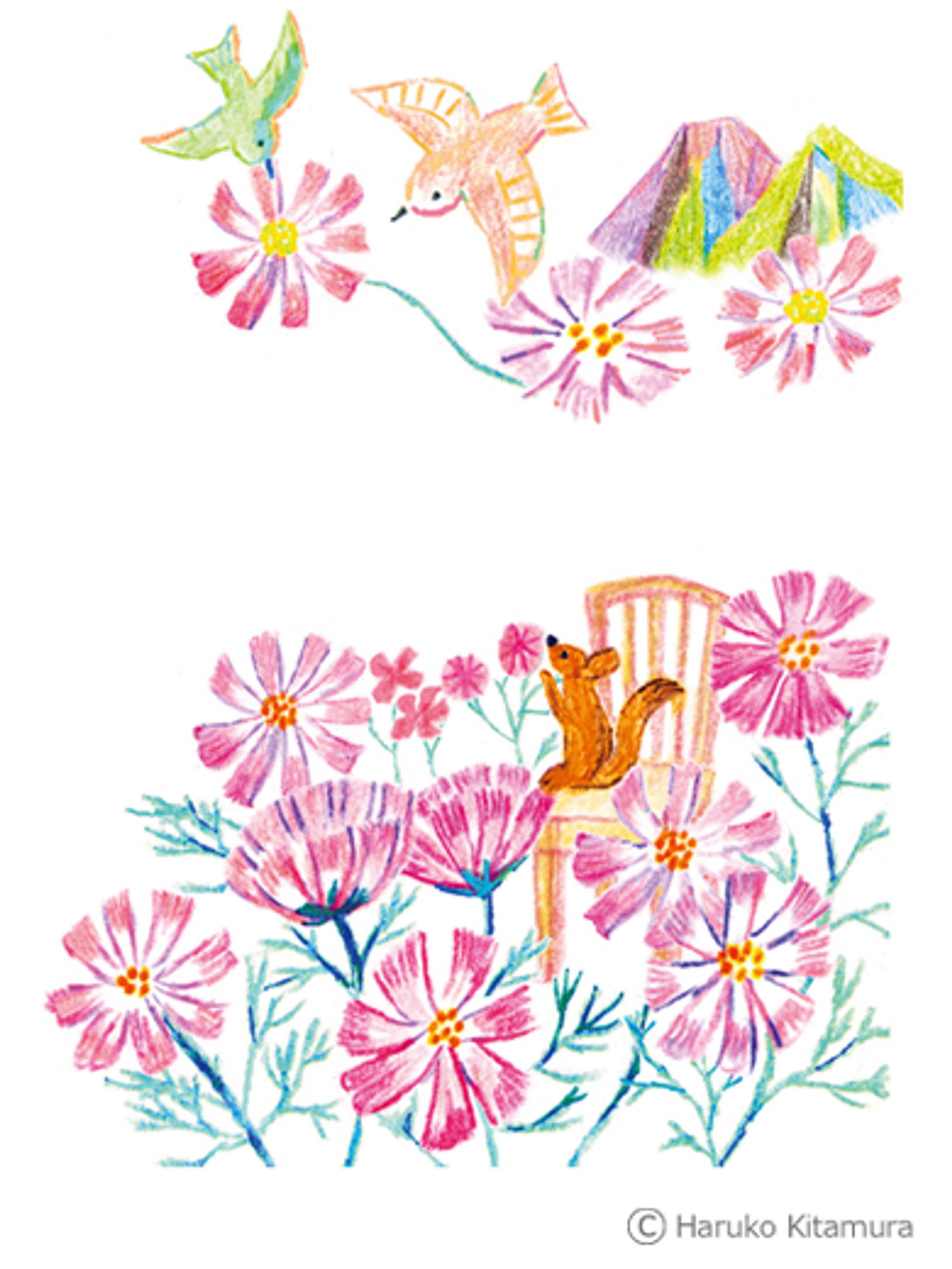 【Work】『みんな、げんき？』(DHC)9月号挿絵-1