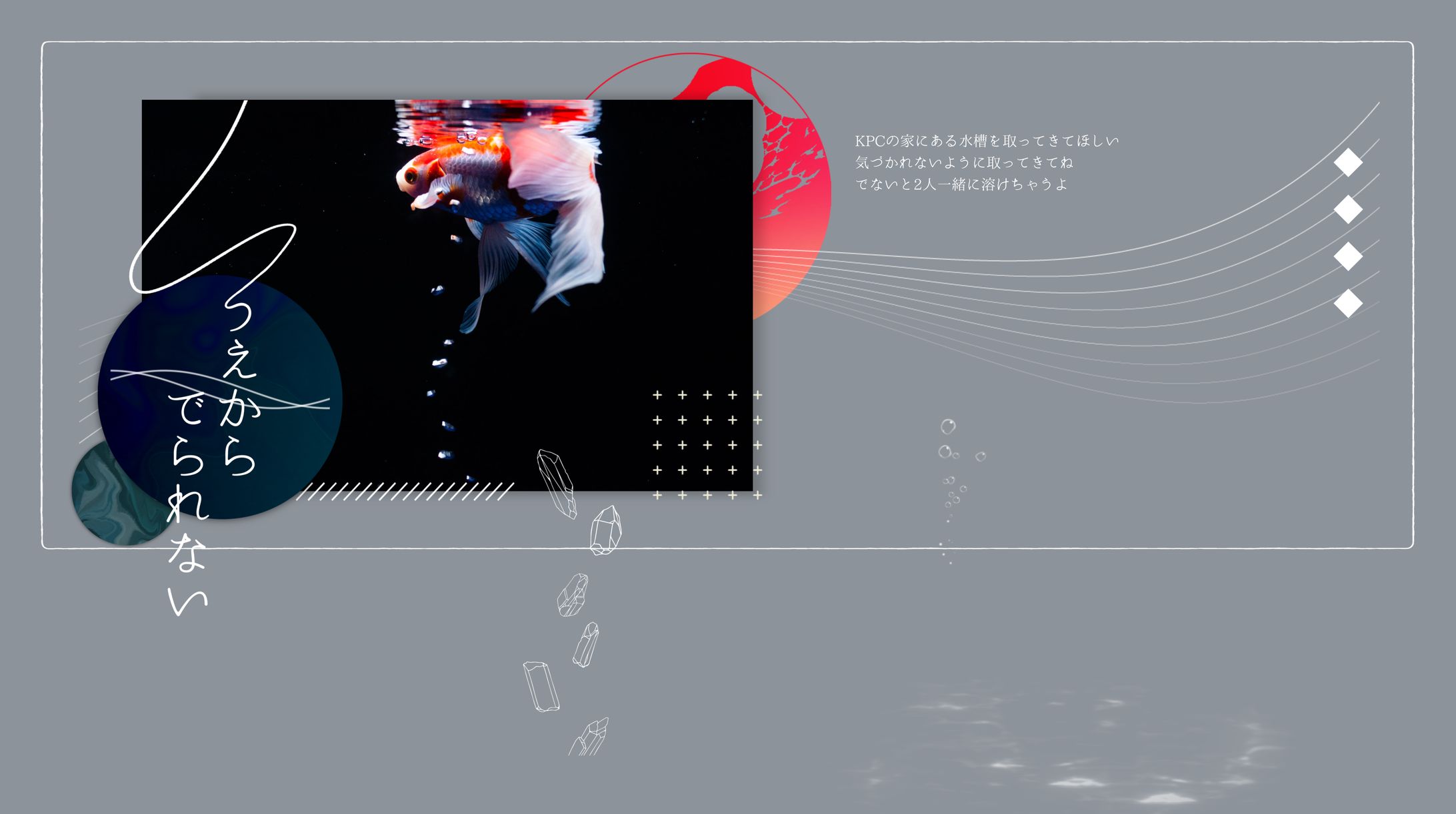 ココフォリア/うえからでられない-1