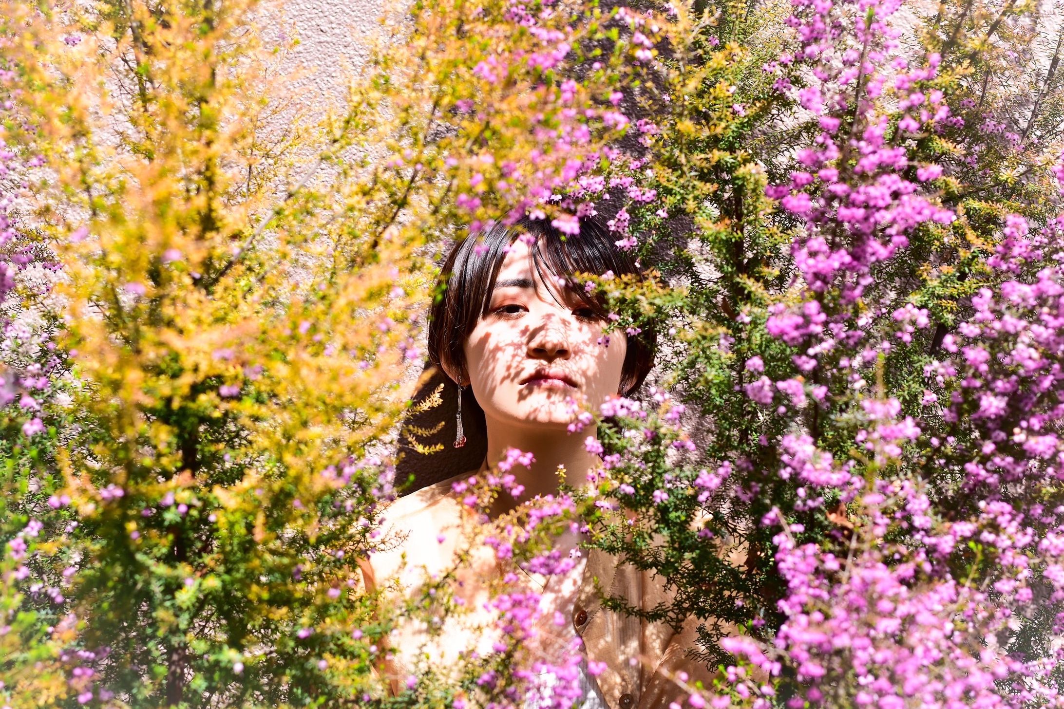 Spring has come -1