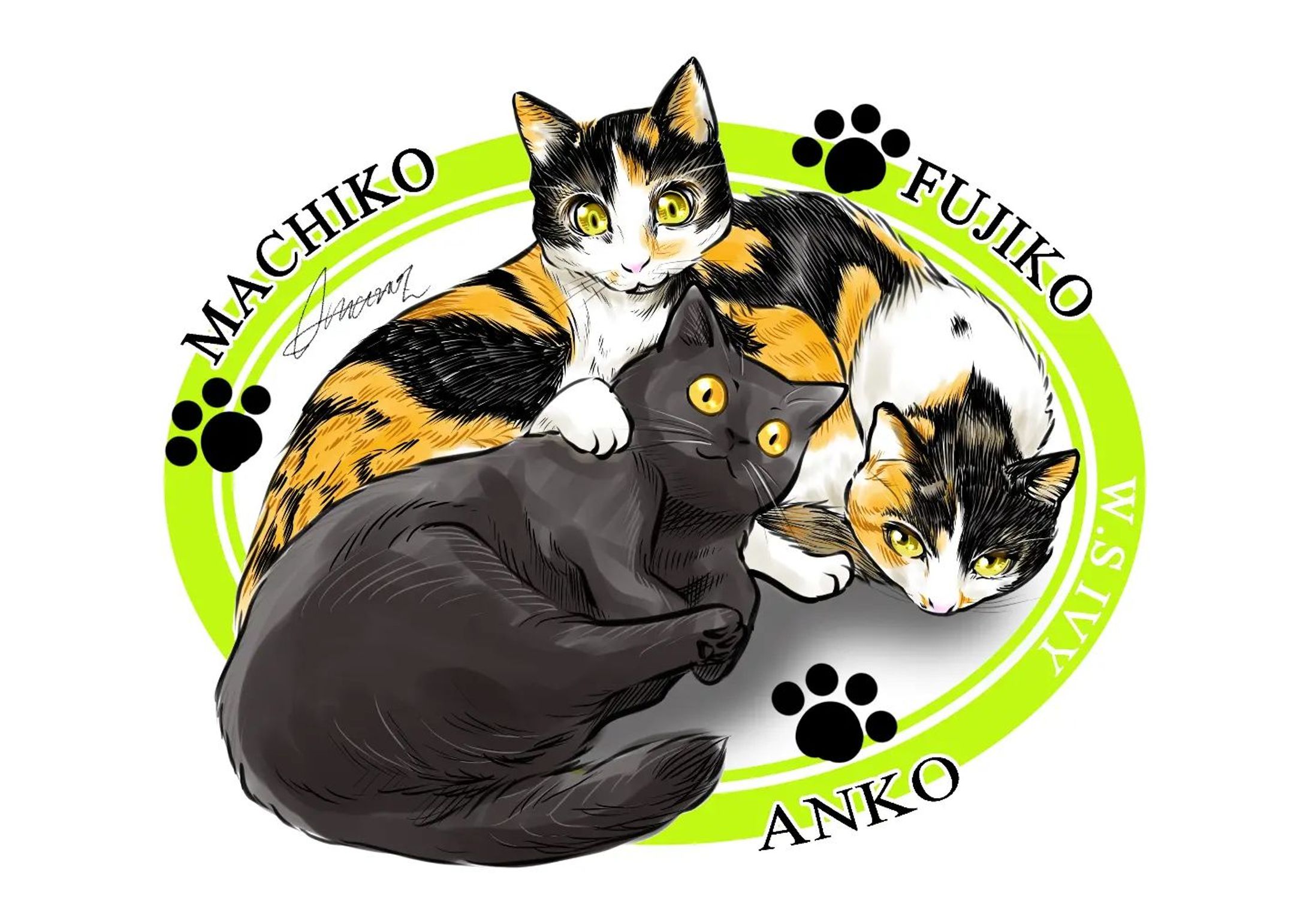 Amazon.co.jp: 猫絵柄 三毛猫 m：m にゃんと素敵な出会いで