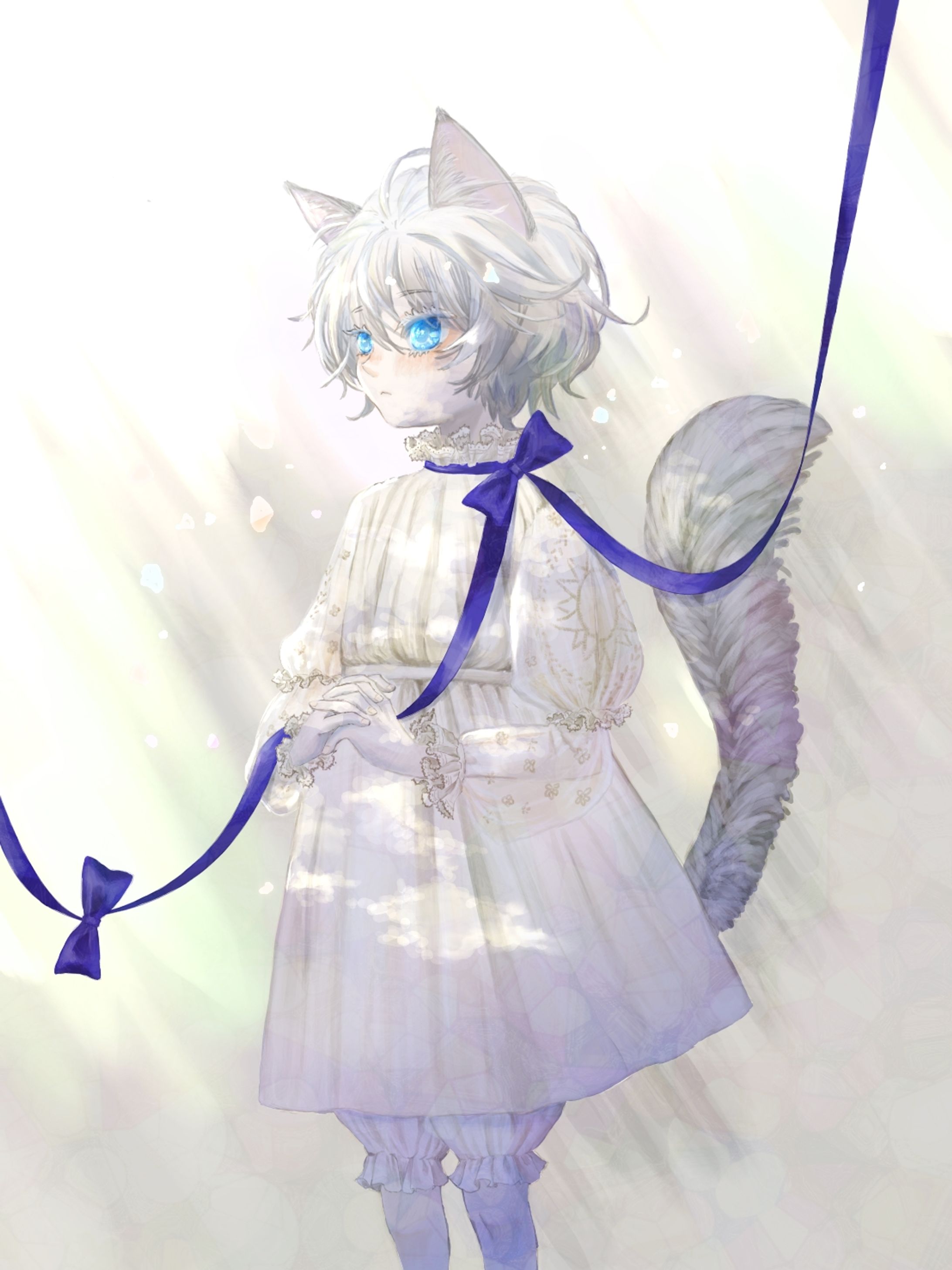 猫耳-1