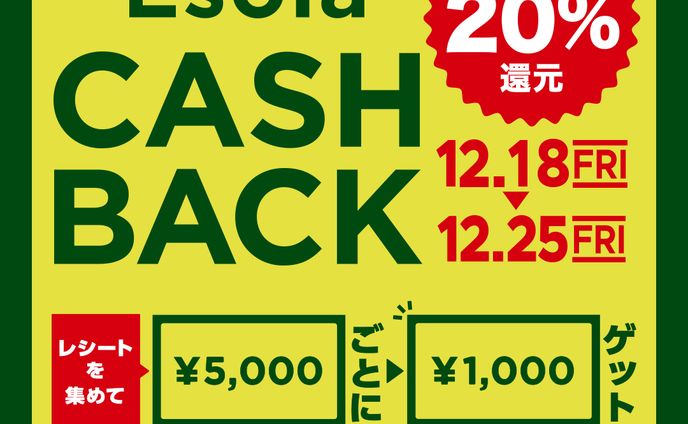 【バナー】Esola キャッシュバックキャンペーン（スクエア / 縦型）