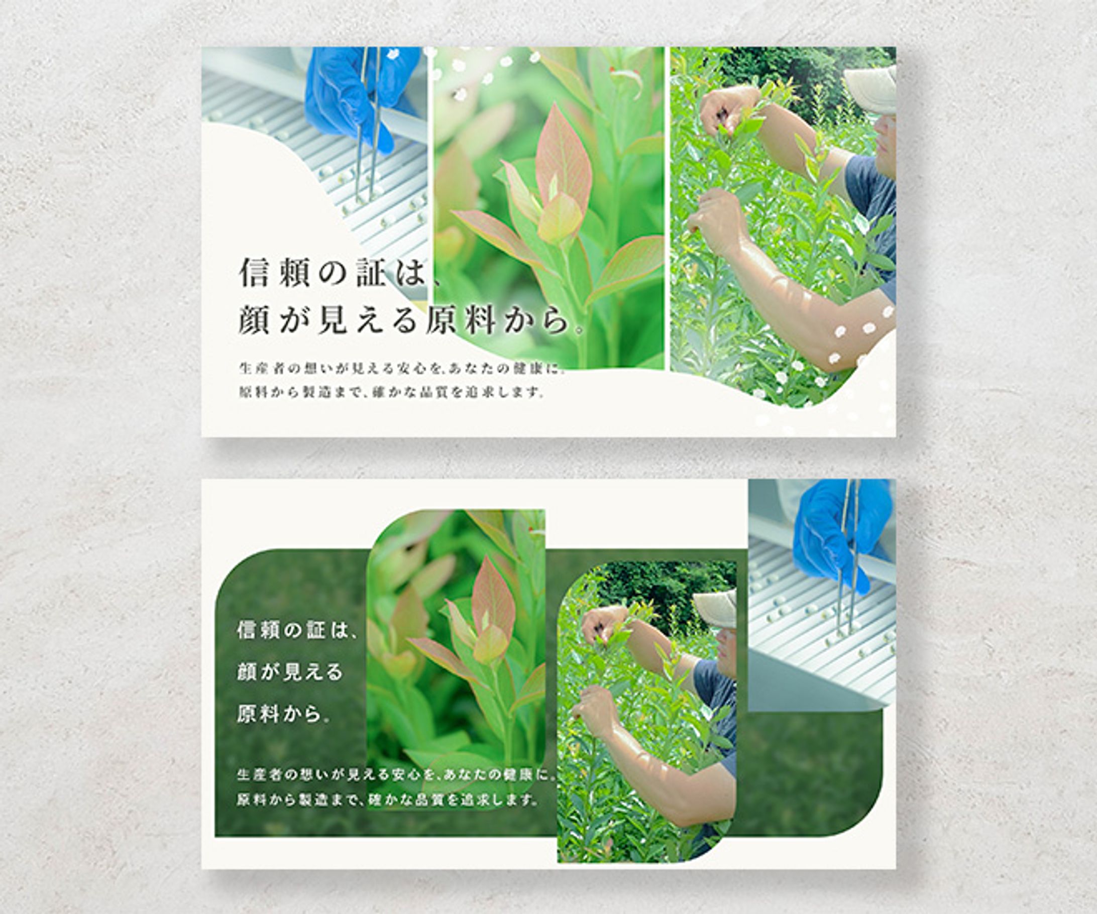 【実績案件】コーポレートサイトトップ画像-1