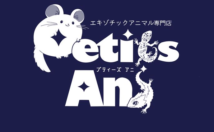 【制作実績】エキゾチックアニマルブリーディング専門店の屋号ロゴ