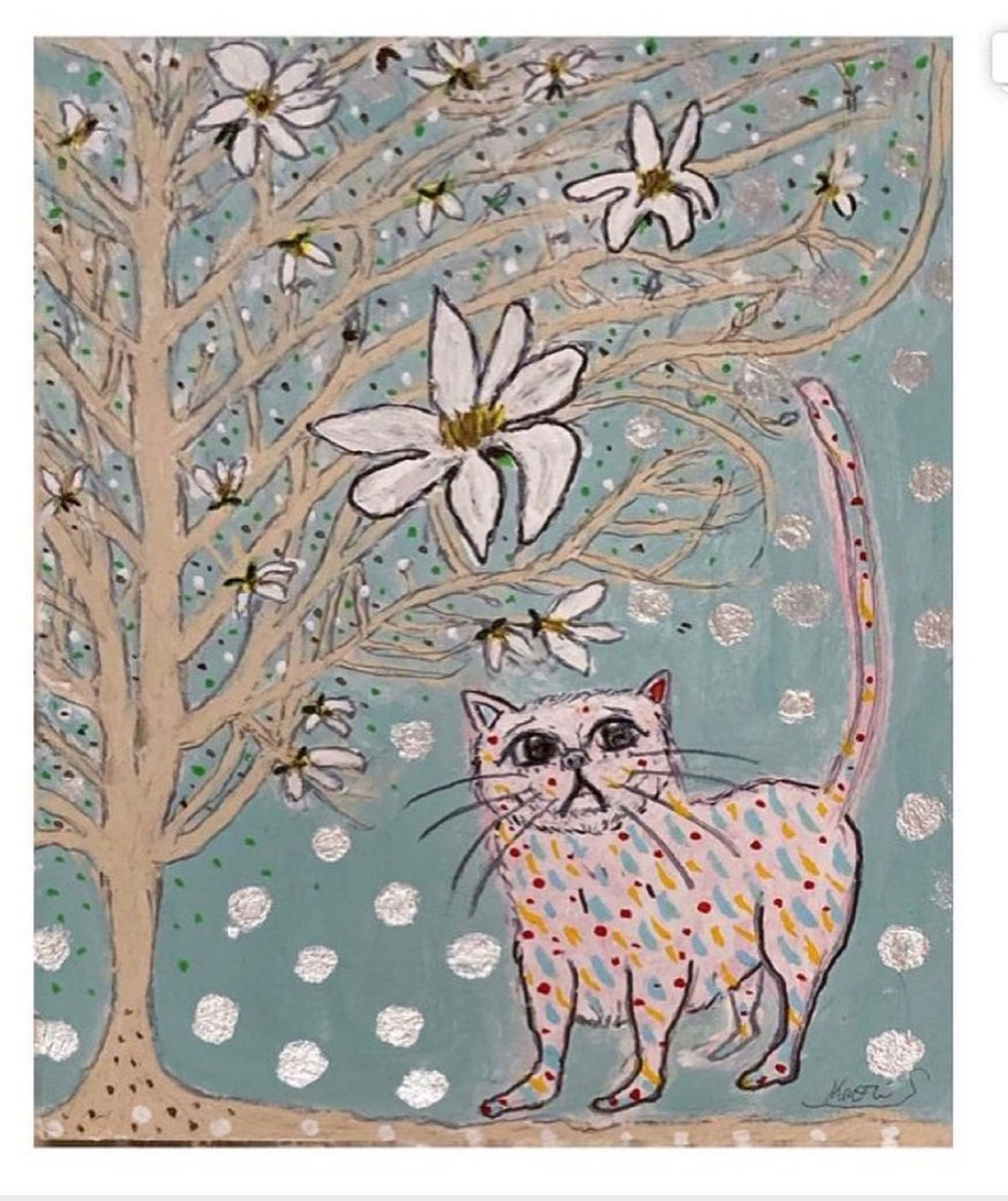 Magnolia kobus and cat(2022)-1