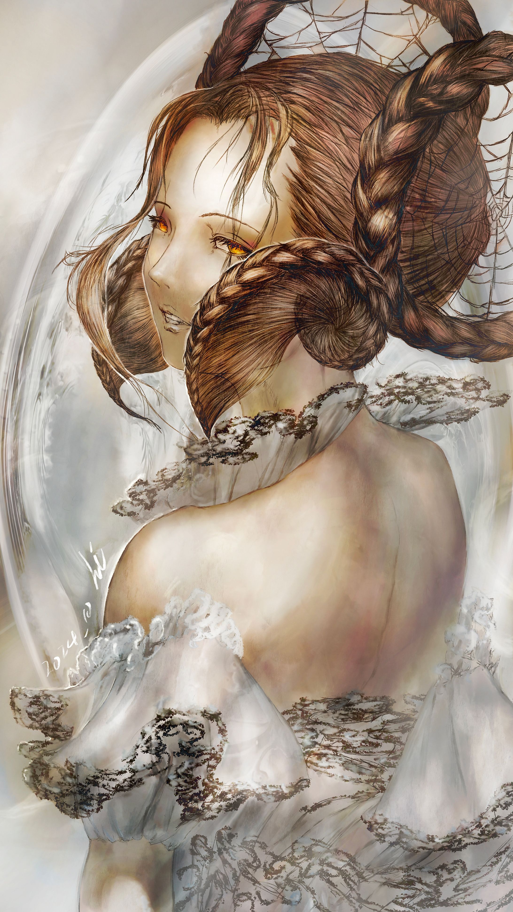 蜘蛛-1