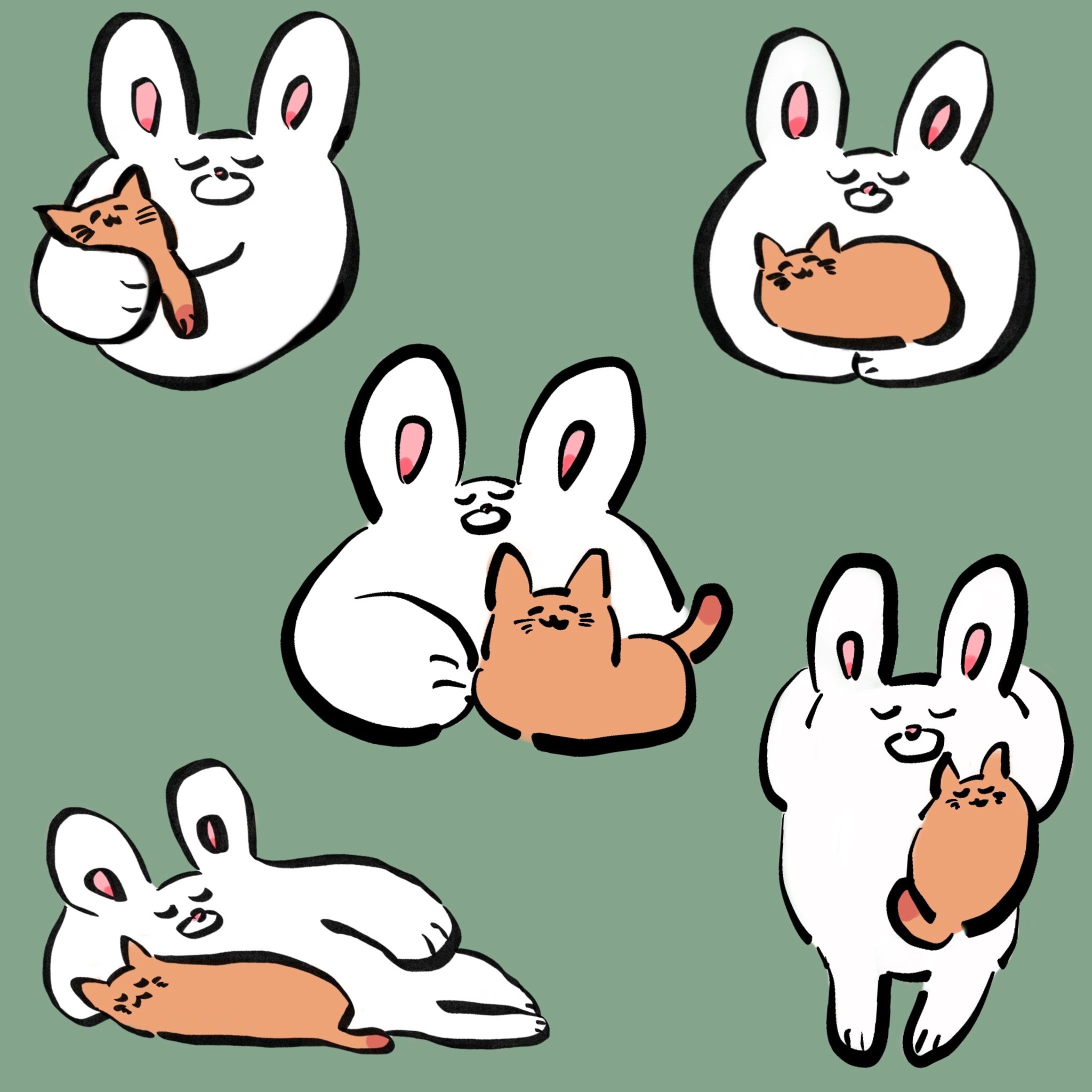 うさぎとねこのイラスト-1
